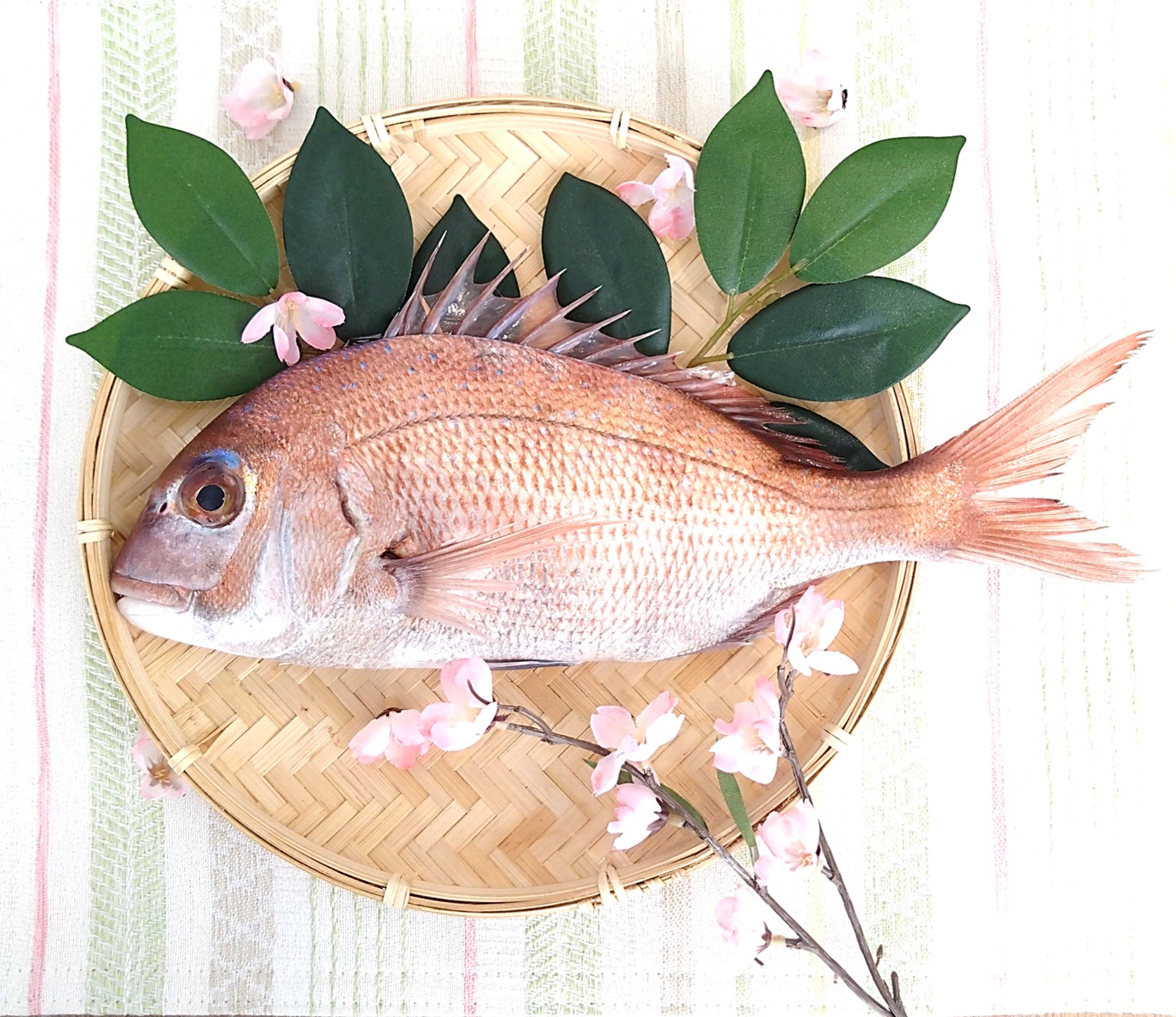 【ノーガホテル 清水 京都】　公民連携の人口減少対策「住んでこそ！東山」 お試し居住プランを販売開始