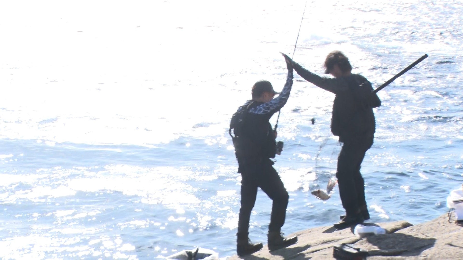 ニジゲンノモリ「ドラゴンクエスト アイランド」に、“りゅうおう”降臨！『りゅうおうグリーティングinドラゴンクエスト アイランド』11月29日（土）開催