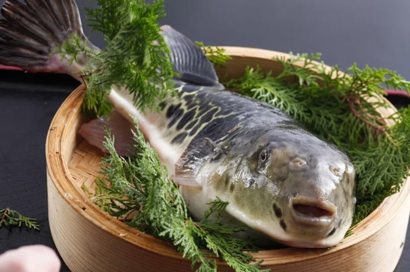「神の島」沖縄県久高島に新しいお土産が誕生！南城市祭りにて数量限定テスト販売を実施