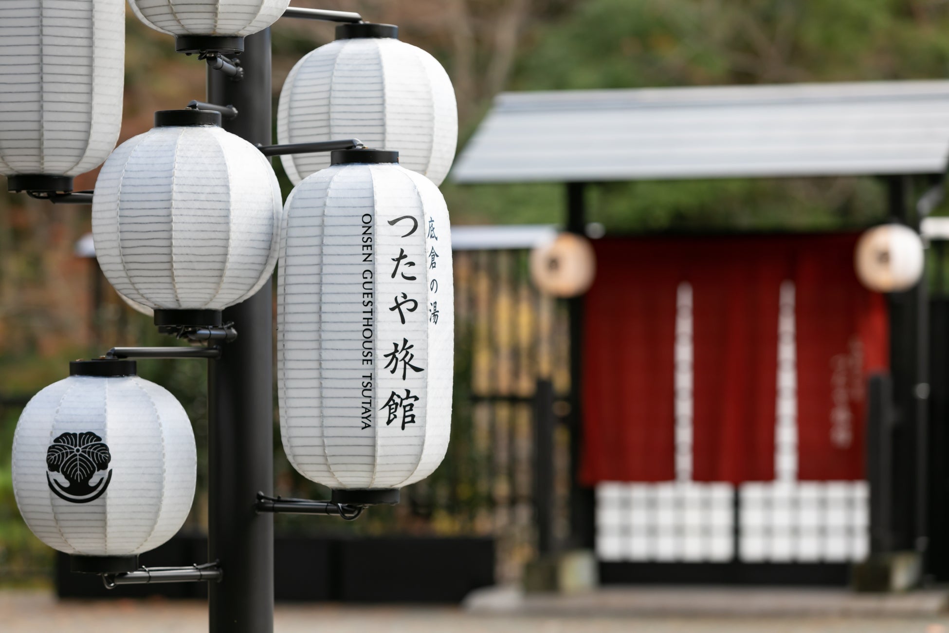 紅葉が見頃を迎える大門寺で叶える「和装ロケーションフォト」INAI WEDDING WASOU大阪店が期間限定プランを発表