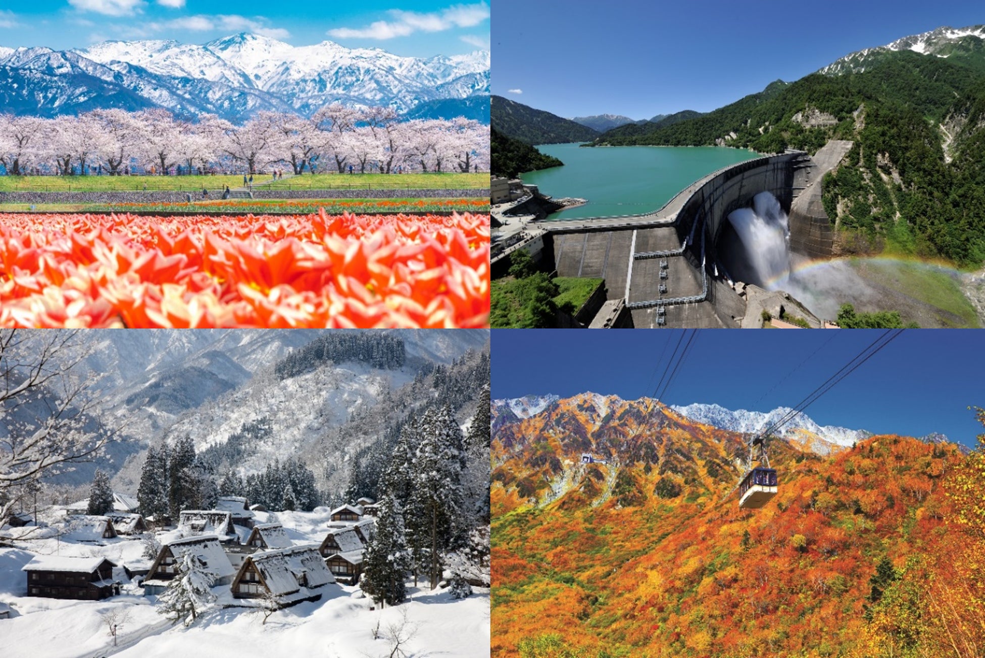 TOTTEI初のクリスマスイベントを開催┃海辺を彩る神戸クリスマスマーケット＆登れる新感覚のイルミネーション