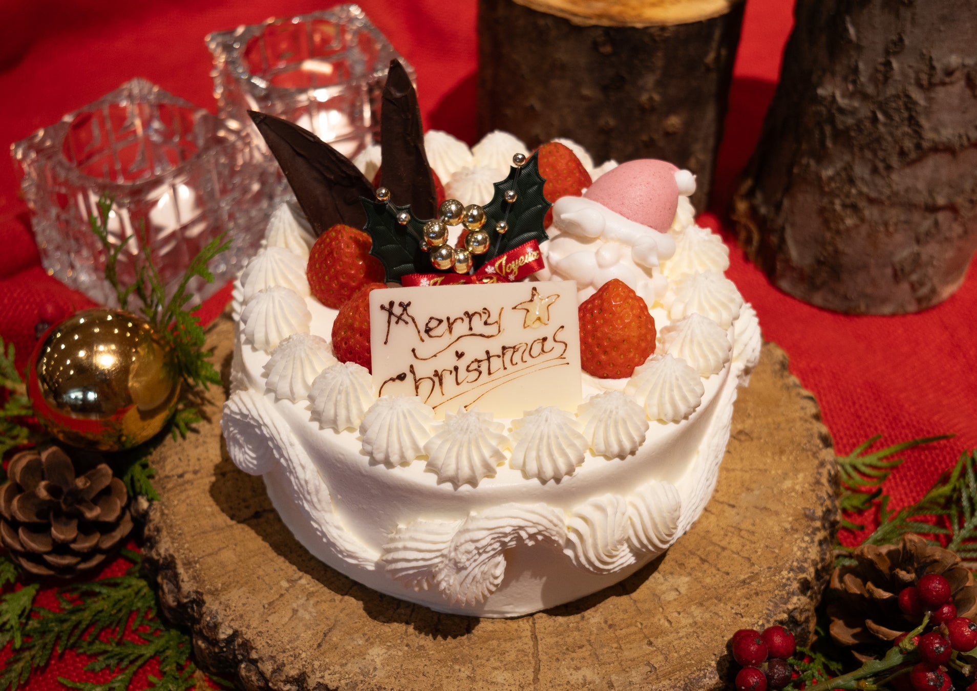 Airbnbで『ウィキッド 永遠の約束』の魔法の世界をエルファバの隠れ家で体験しよう