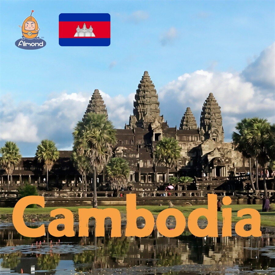 クジラ株式会社、プレシリーズAラウンドで1.5億円を調達