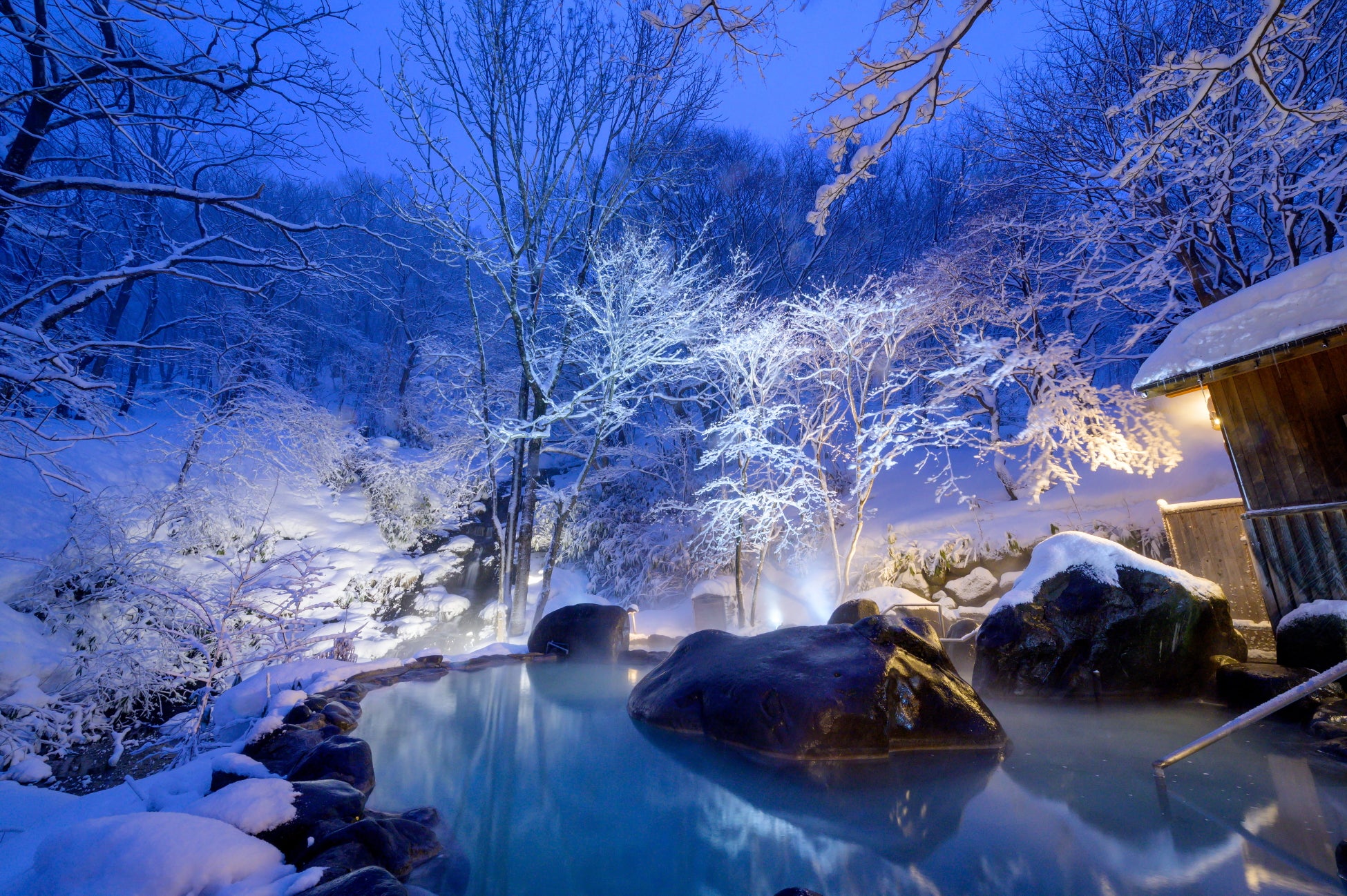 【高知県幡多郡黒潮町】11月23日(日)に「幡多郡グルメフェスタ」を開催！