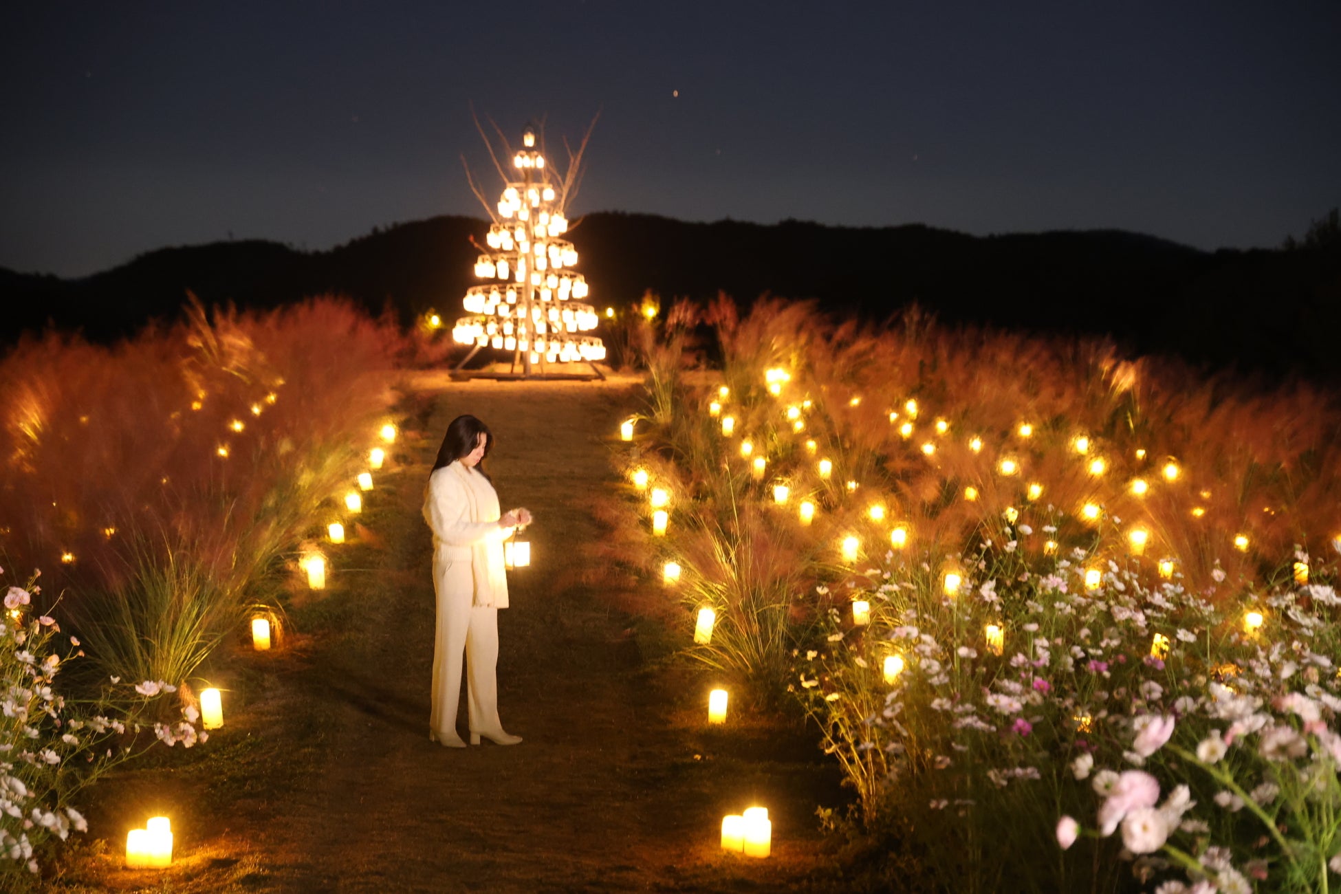 今年も、茨城県 県北山間部に忍たまたちがやってくる　〜もっと‼常陸国で大冒険！の段〜