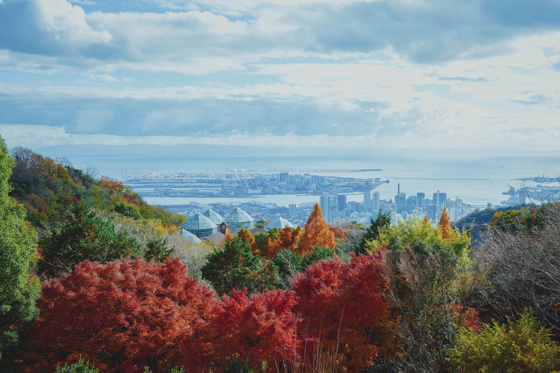 神戸の紅葉の名所「布引の紅葉」が見ごろです。秋色に彩るガーデンと紅葉が調和した情景や、ロープウェイの車窓から眺める壮大な景色を楽しめます。ライトアップされた紅葉と神戸の景色は新しい名所となっています。