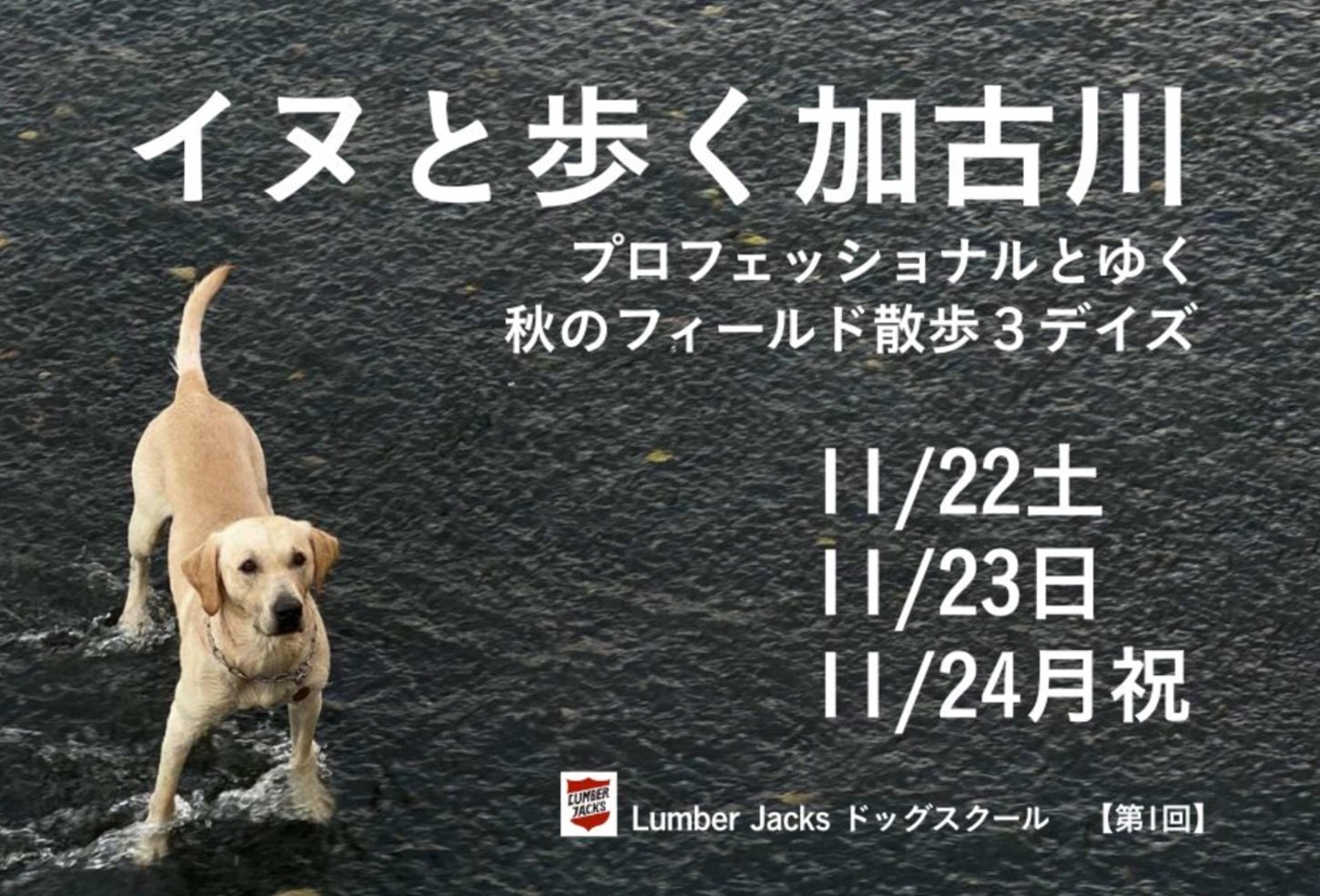 イヌと歩く加古川