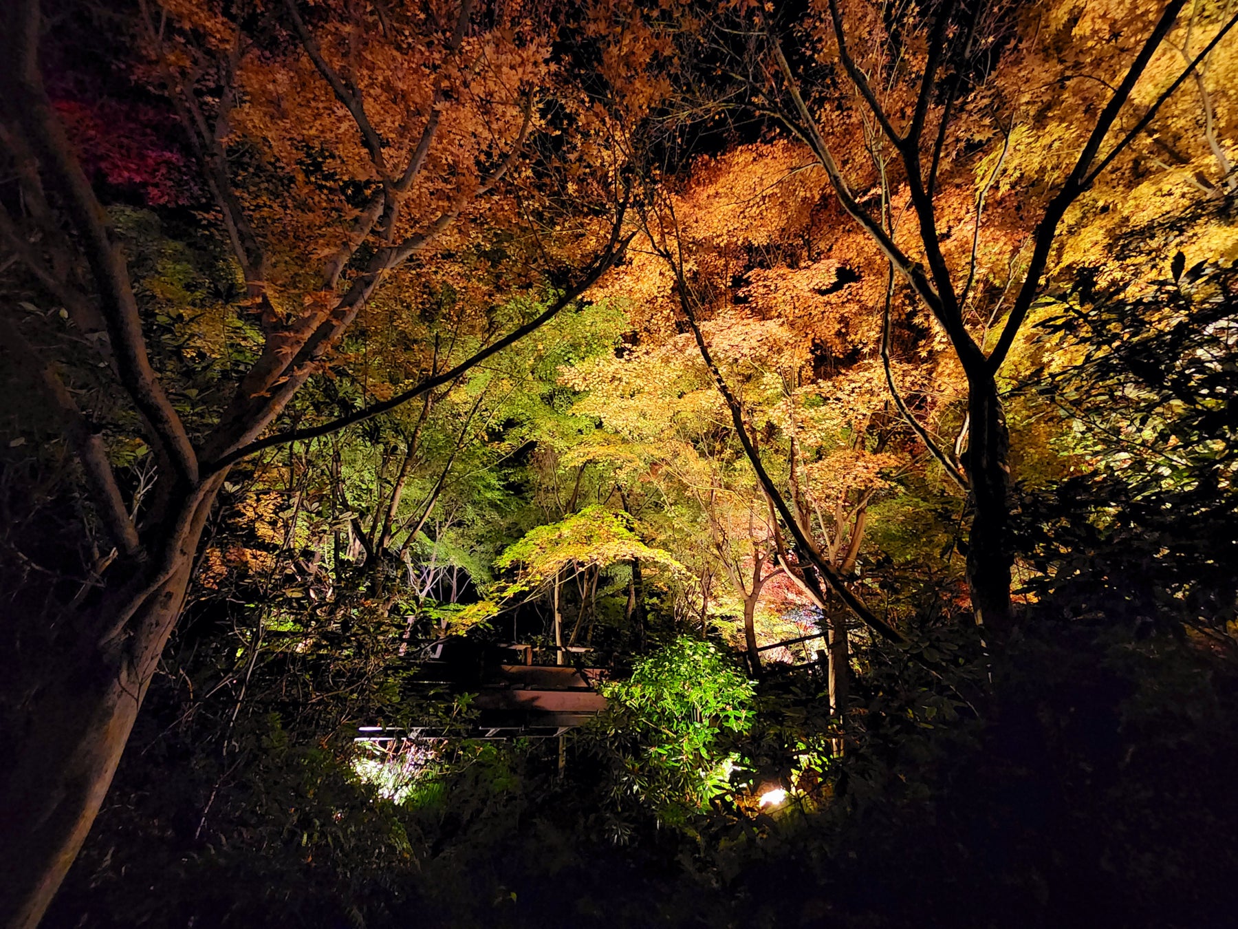 2026年最新コレクションがドレスサロン【デスティニーライン 名古屋】に 人気インポートブランド＆オリジナルドレスが到着