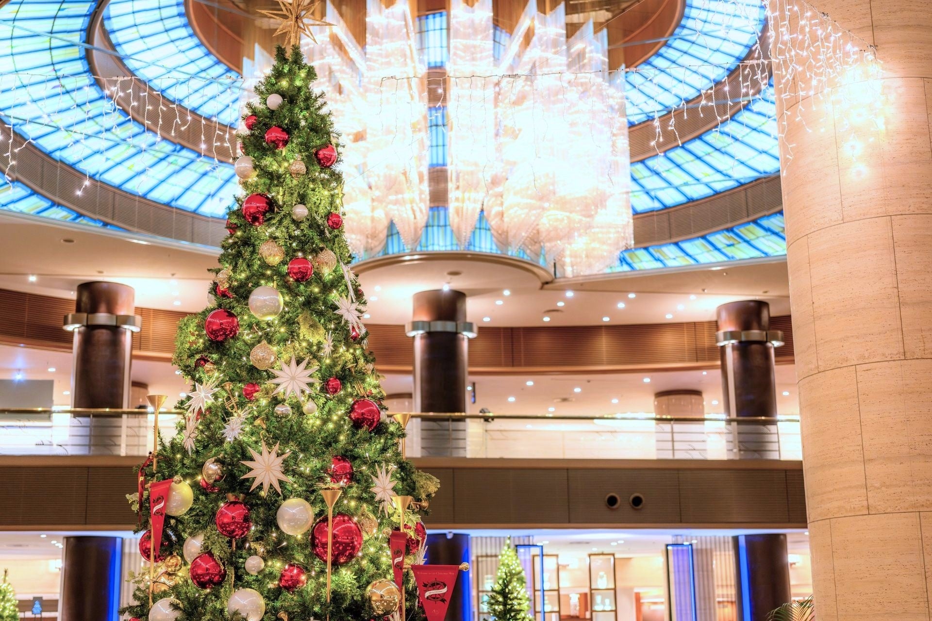 【南知多ビーチランド＆南知多おもちゃ王国】キラキラ輝くおさかなとイルミネーション！初開催！「きらめくおさかな展」＜愛知＞