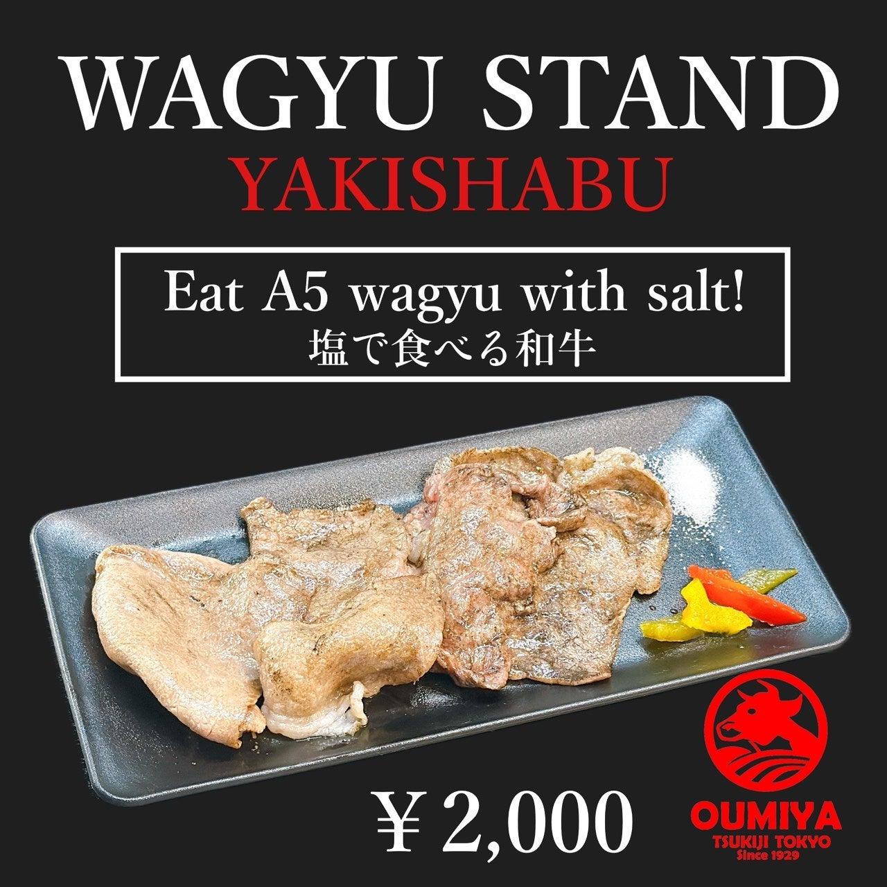 【沖縄初*】足漕ぎカヤックでリゾートホテルを周遊する海上プレミアムツアーを開始。水陸両用の車いす「モビチェア」導入で障がいのある方の海体験も実現