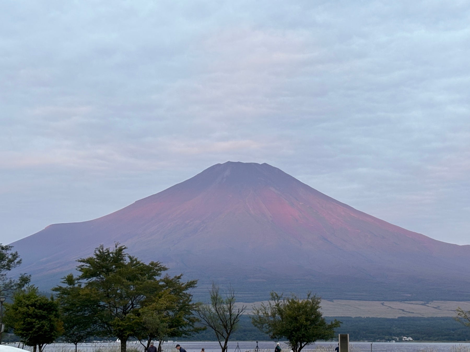 トヤマチミライ モビリティプロジェクト11月21日（金）より始動！