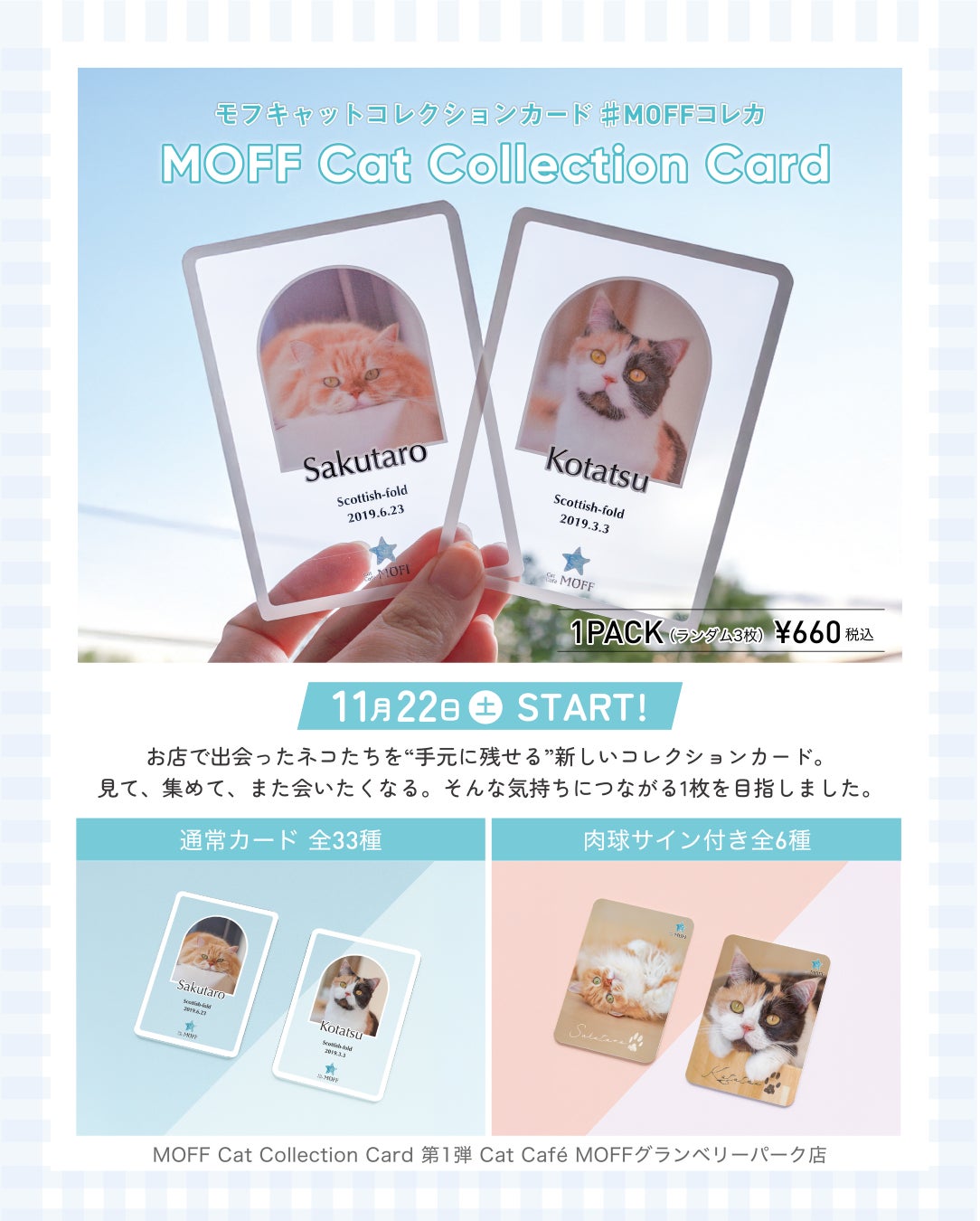 ファン待望のMOFFネコオールスターがカードに！『MOFF Cat Collection Card』グランベリーパーク店で先行販売開始！