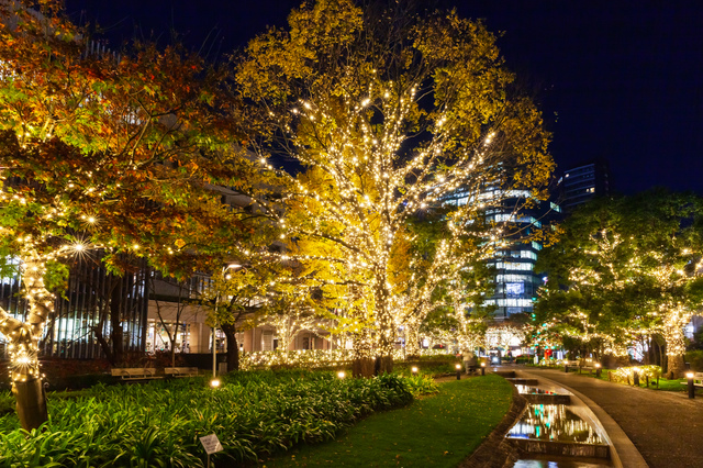 ゲスト・ロイヤリティ・プログラム「ヒルトン・オナーズ」を刷新エリート会員ステータスをより迅速に獲得できるプログラムを導入し、新たな最上位ステータス「ダイヤモンド・リザーブ」を発表