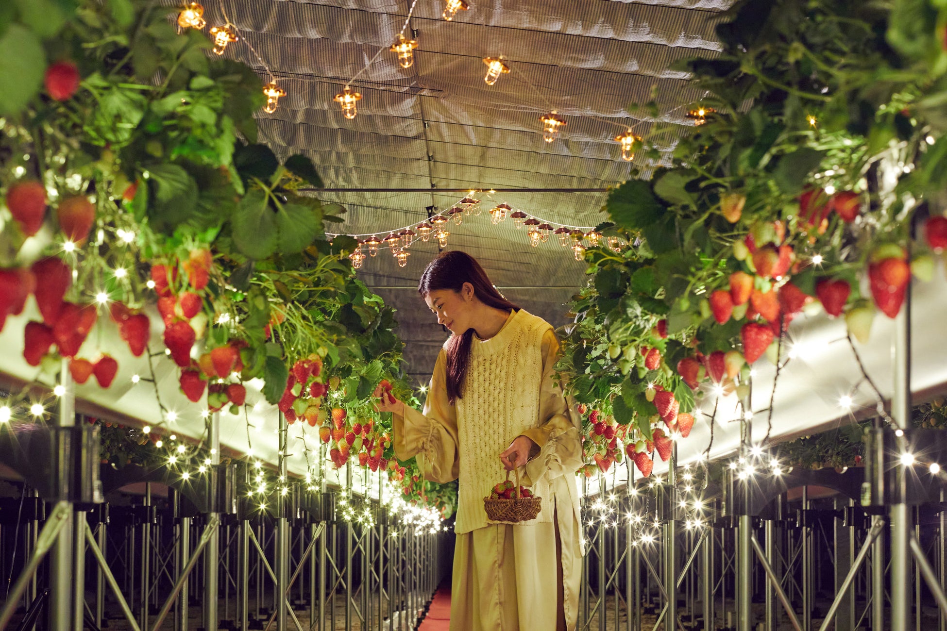 【札幌の高校生がホテルアートで「都市と自然の調和」を表現】コンフォートホテルERA札幌北口の開業に向け、客室を彩る「ボタニカルペイントアート」制作ワークショップを実施