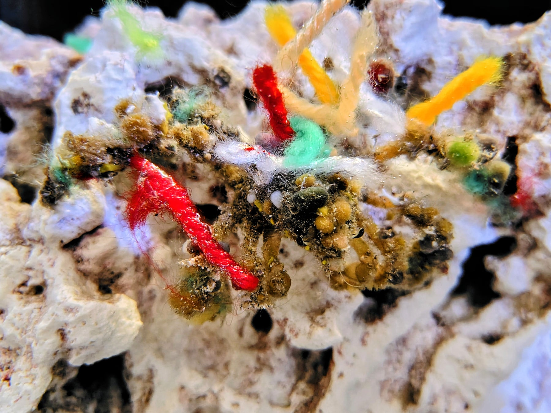 マリオット・インターナショナルのミッドスケールホテルブランド「フォーポイント フレックス by シェラトン」東京 渋谷に2025年12月1日（月)開業