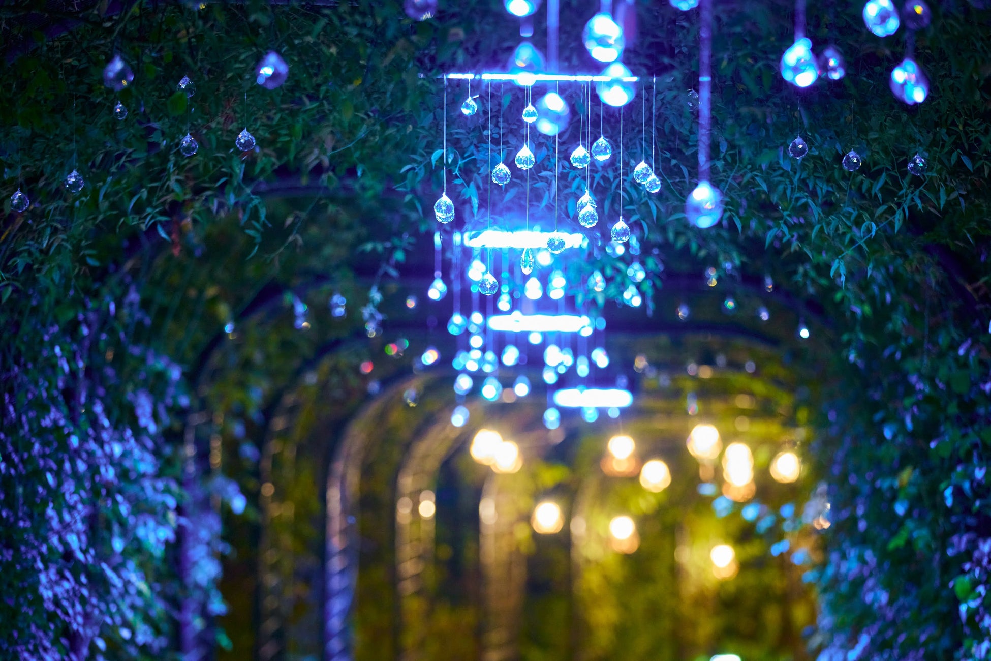 GENERATIONS片寄涼太さん、航空・旅行アナリストの鳥海高太朗さんが特別ゲストで登場。12月1日に開業する日本初進出のラグジュアリースパ「 ELLE SPA 」開業プレスイベントを開催。