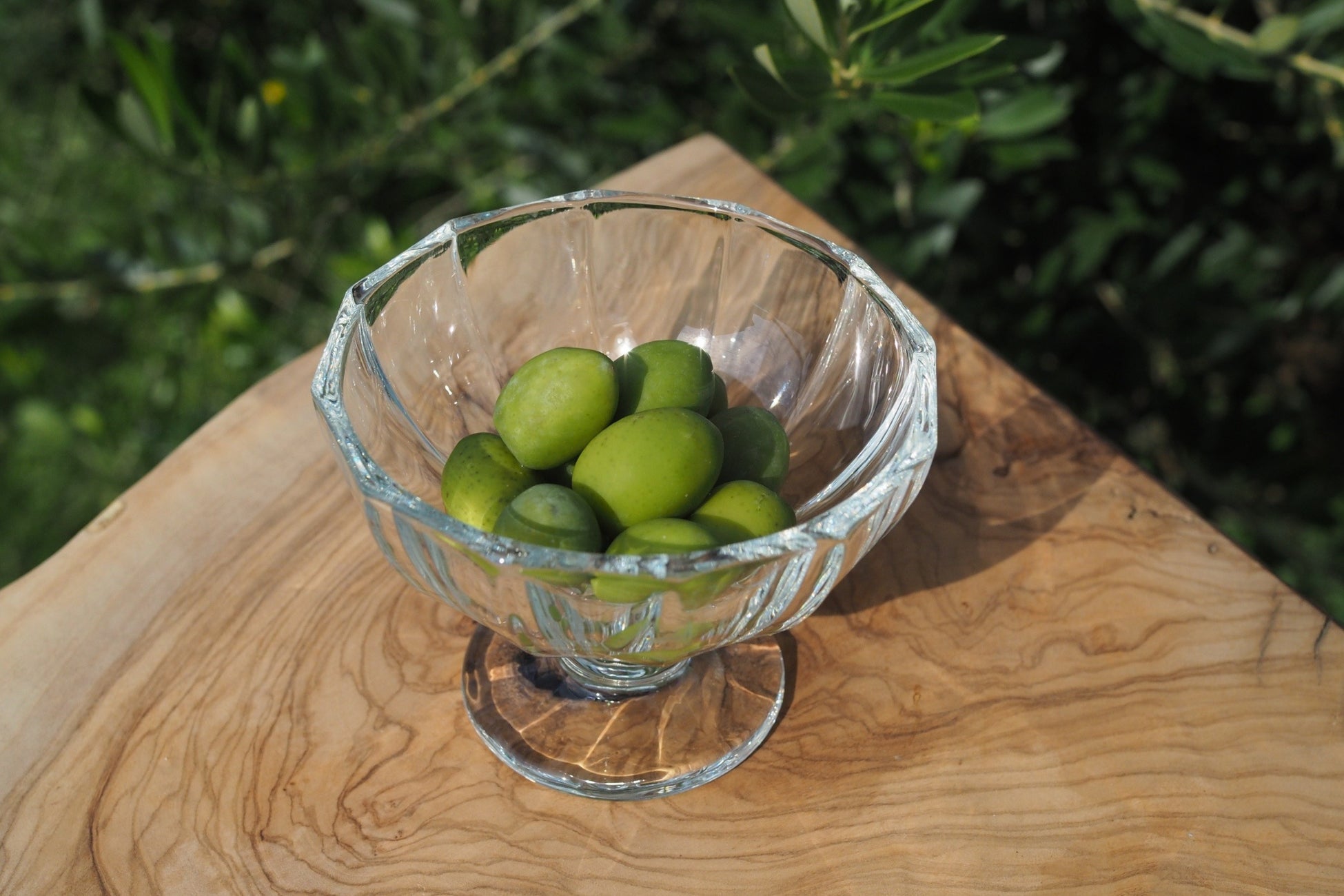 グランピングで楽しむ「愛犬用・松阪牛ステーキディナー」