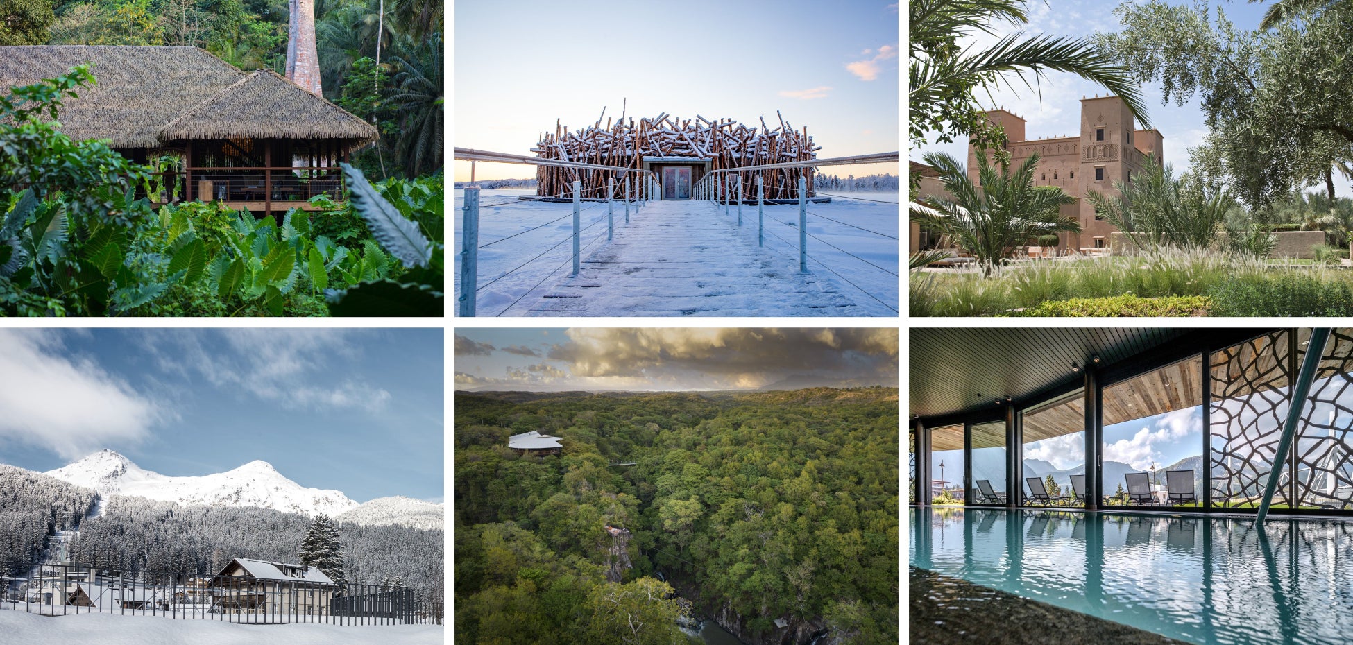 栃木県民限定！冬のサファリを特別料金で楽しむ1週間（県民割）