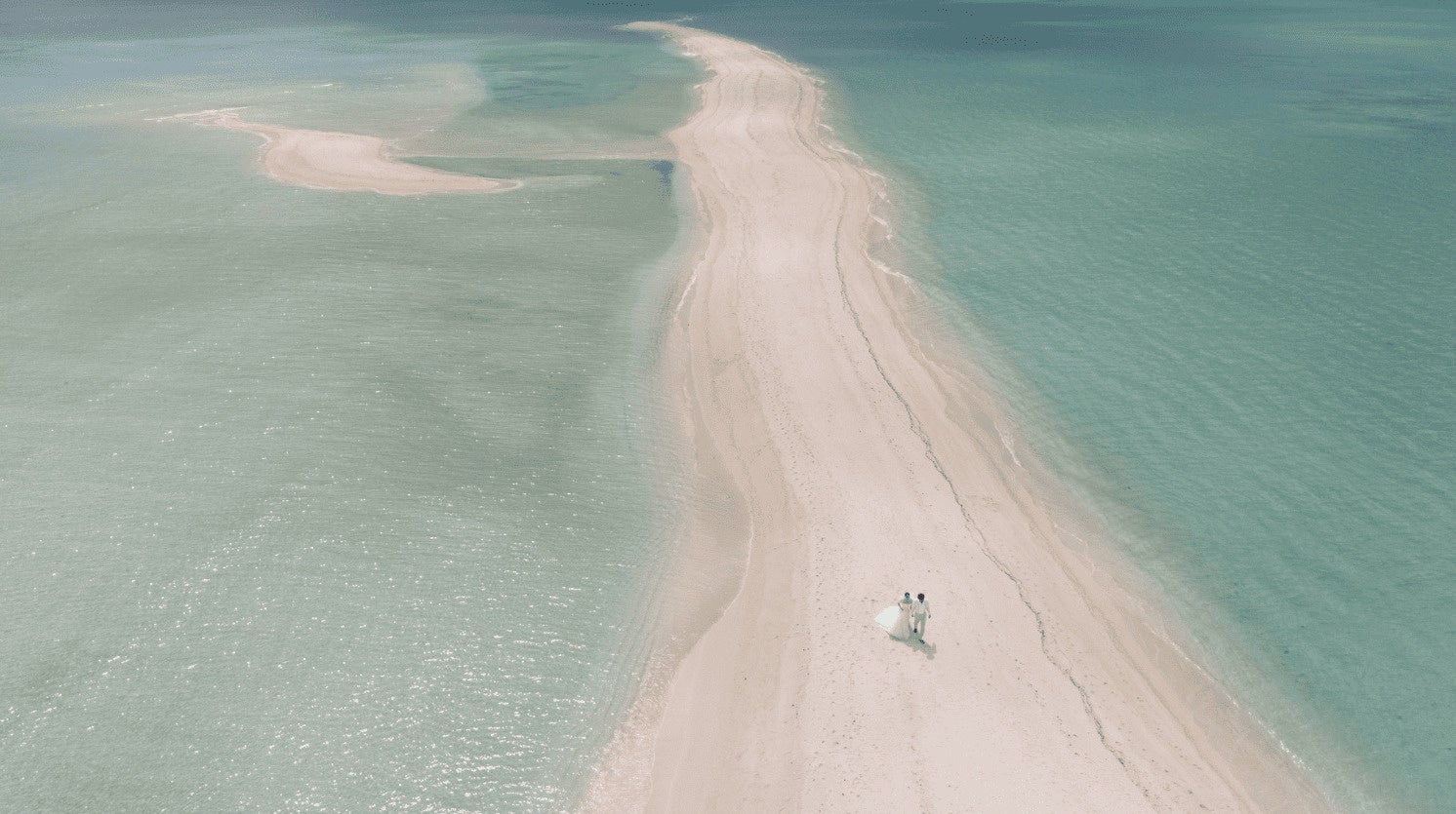 見ても触っても癒される！“トレ”刺繍入りもちふわ肉まんぬいぐるみが新登場