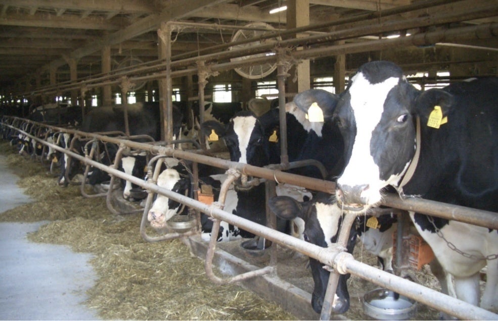 【豊橋市】耕畜連携による粗飼料自給率100％で低コスト酪農を！長野県南牧村の取り組みを学ぶ農業研修会を開催