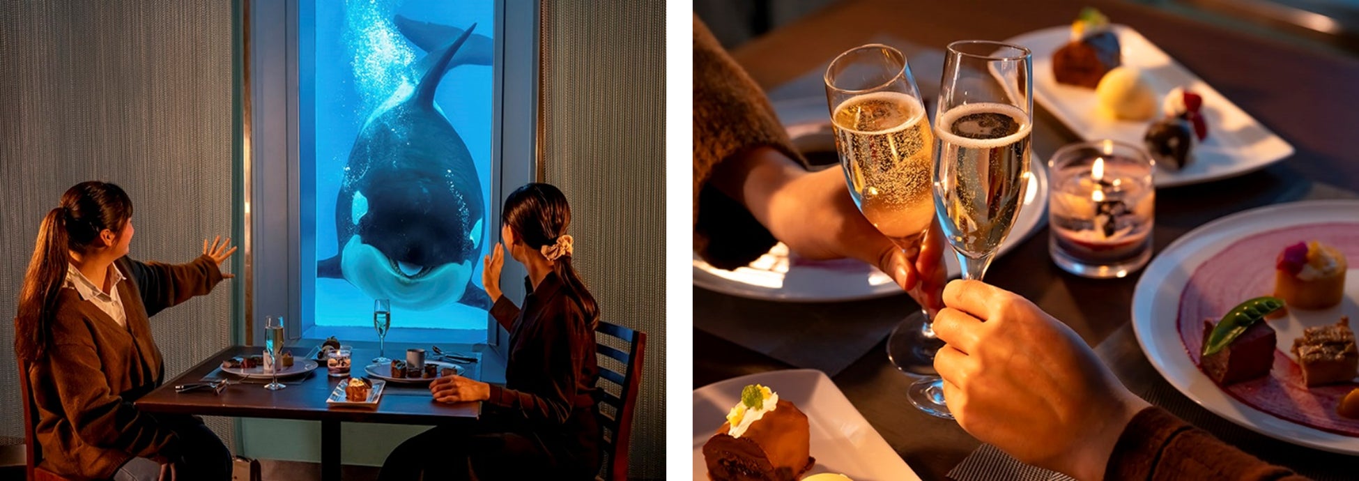 【鴨川シーワールド】『クリスマスディナー付き宿泊プラン』