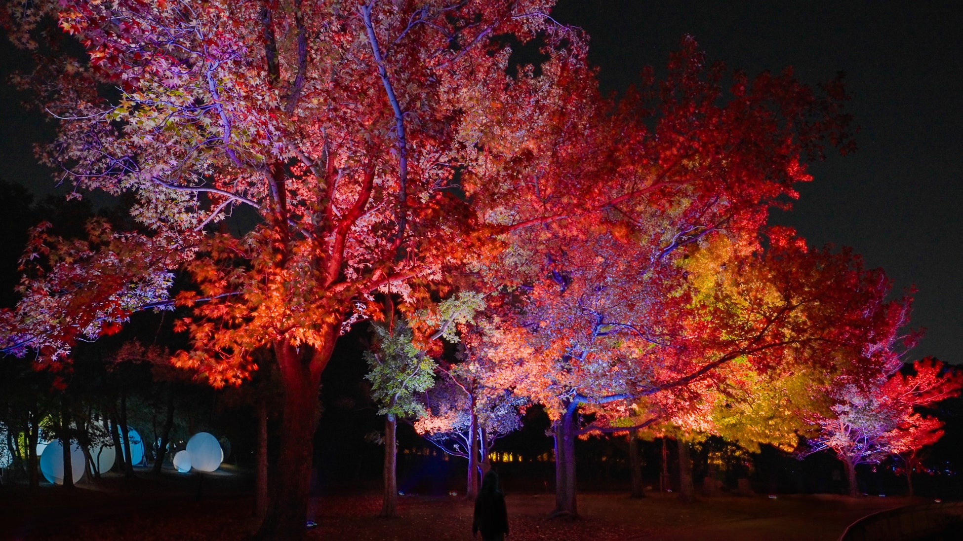 照葉スパリゾート本店「第1弾リニューアルオープン！」館内写真を追加公開