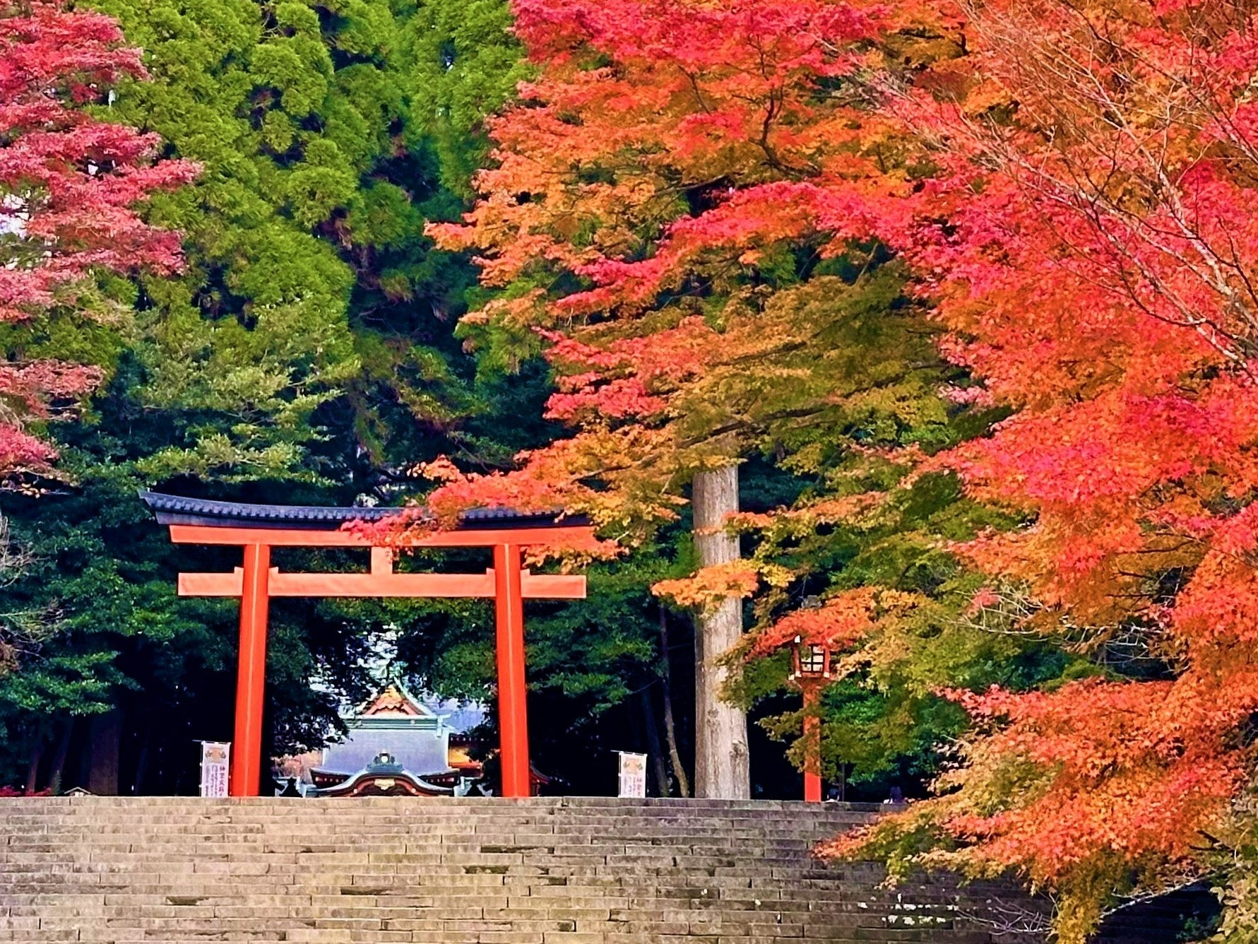 「mysa for Owners」本格始動：建築家デザインの別荘を「資産」に：9STAYの運営ノウハウで平均稼働率80%・ADR 10万円超の実績を実現