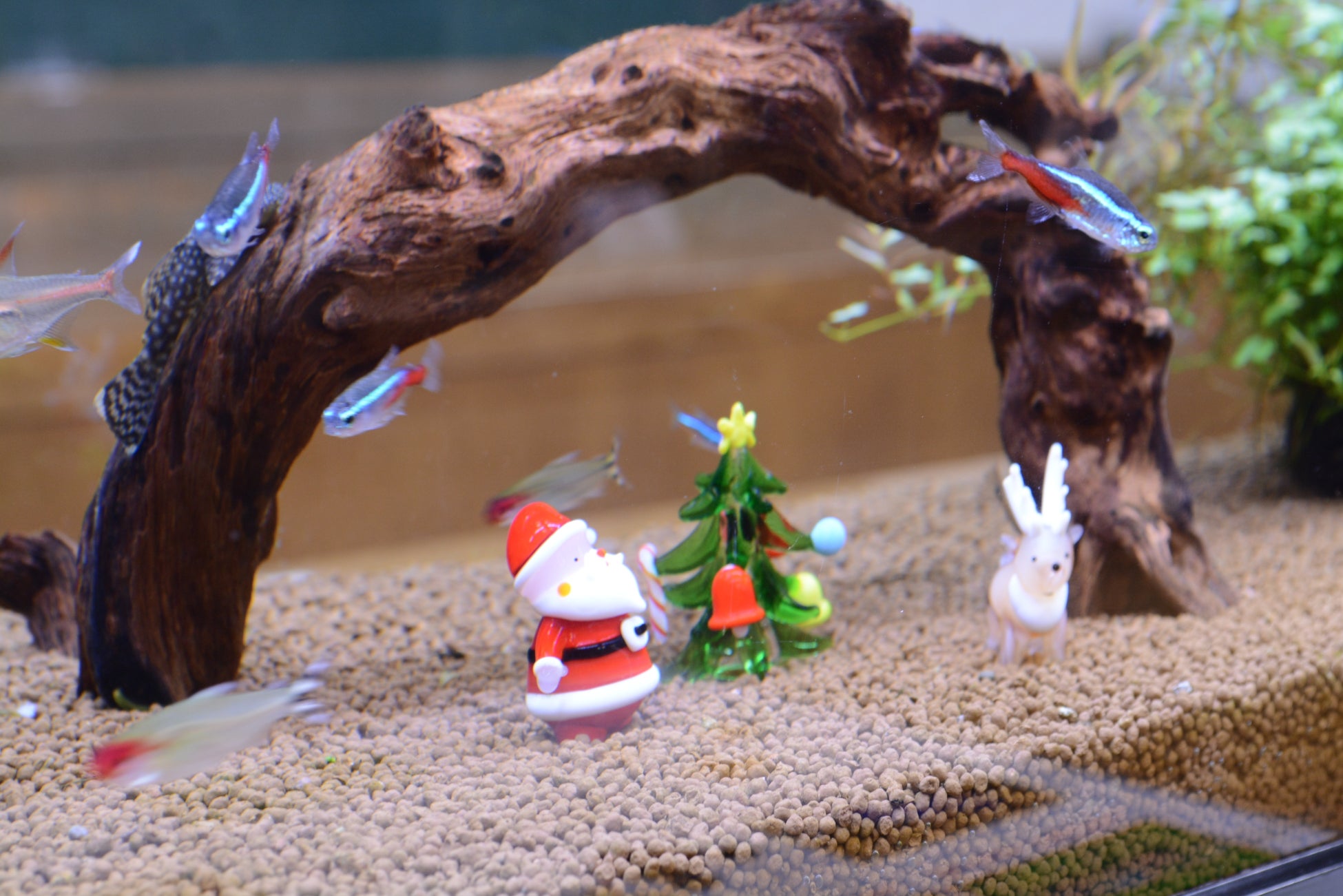 京都駅すぐ！京情緒あふれる本格会席と特製鍋で彩る冬の宴『贅沢飲み放題付き 忘年会・新年会プラン 』