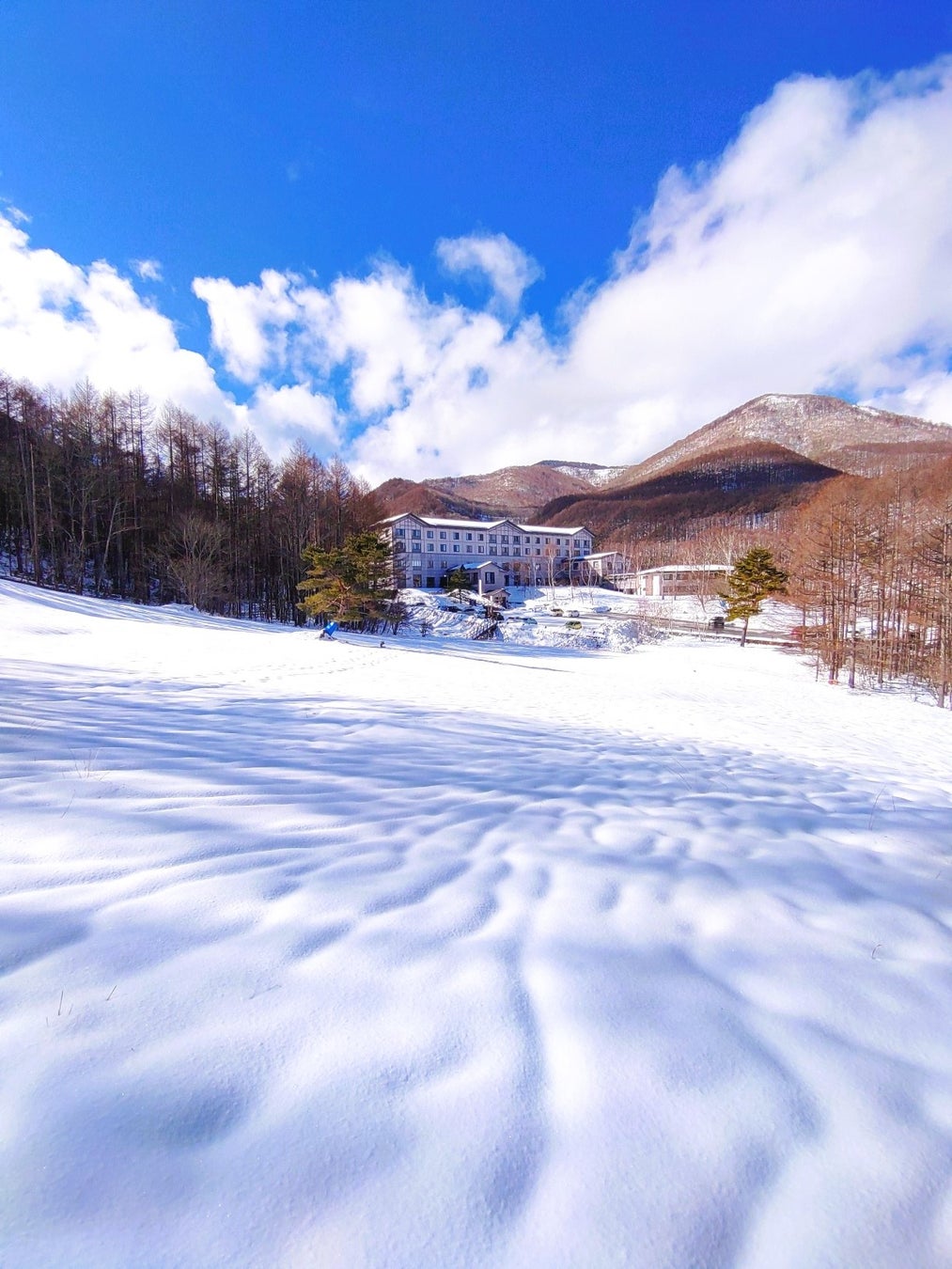遊びを通じて“地域に喜びを創る”次代の幹部候補を募集―― キスケ株式会社が多業態展開を加速し、新たなリーダーを募集開始【愛媛県・松山市】
