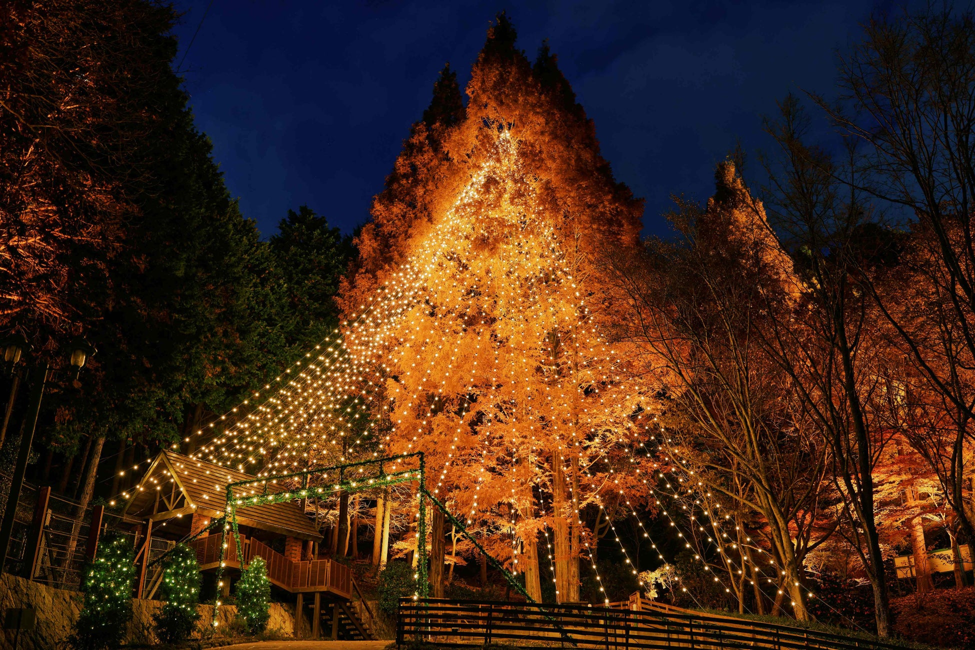 「つくる！あきがわアートストリーム 2025」開幕！～ 紅葉あふれるTOKYO 源流の山郷の美をアートと体験アクティビティで実感できる芸術祭