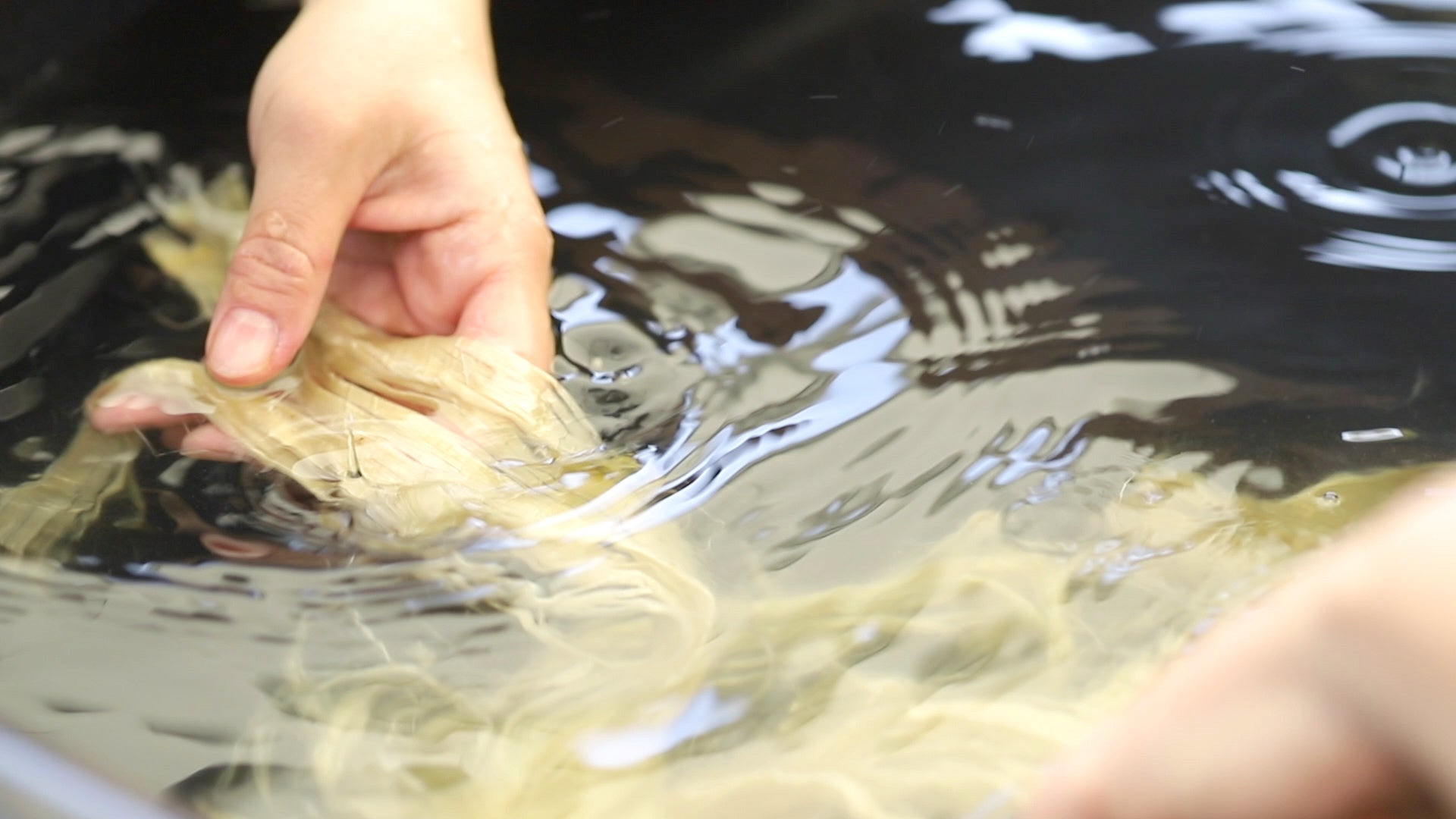 「環境共生プロジェクト」一年の成果を披露。富士見パノラマリゾートで落ち葉循環イベント開催– サステナブルな地域循環モデルが形に –