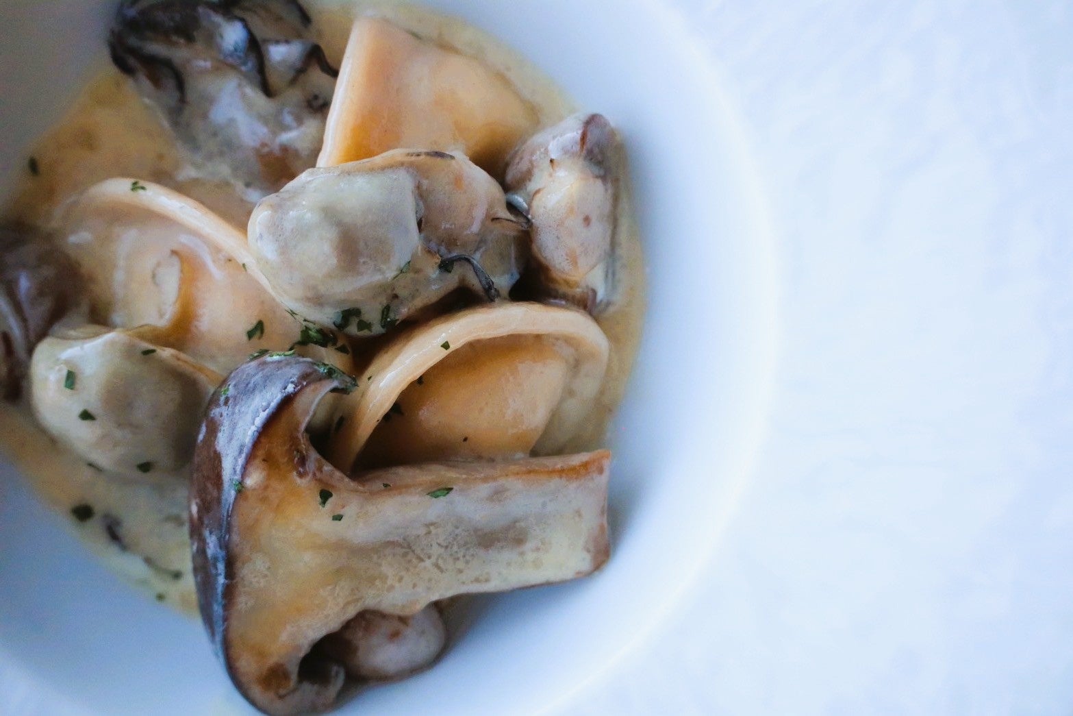 昭和レトロなアイドル 増田樹乃が新曲をリリース！　玉川温泉にて「新曲お披露目ライブ」を開催します