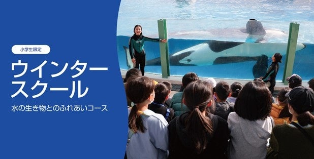 【鴨川シーワールド】第12回「ウインタースクール」開催