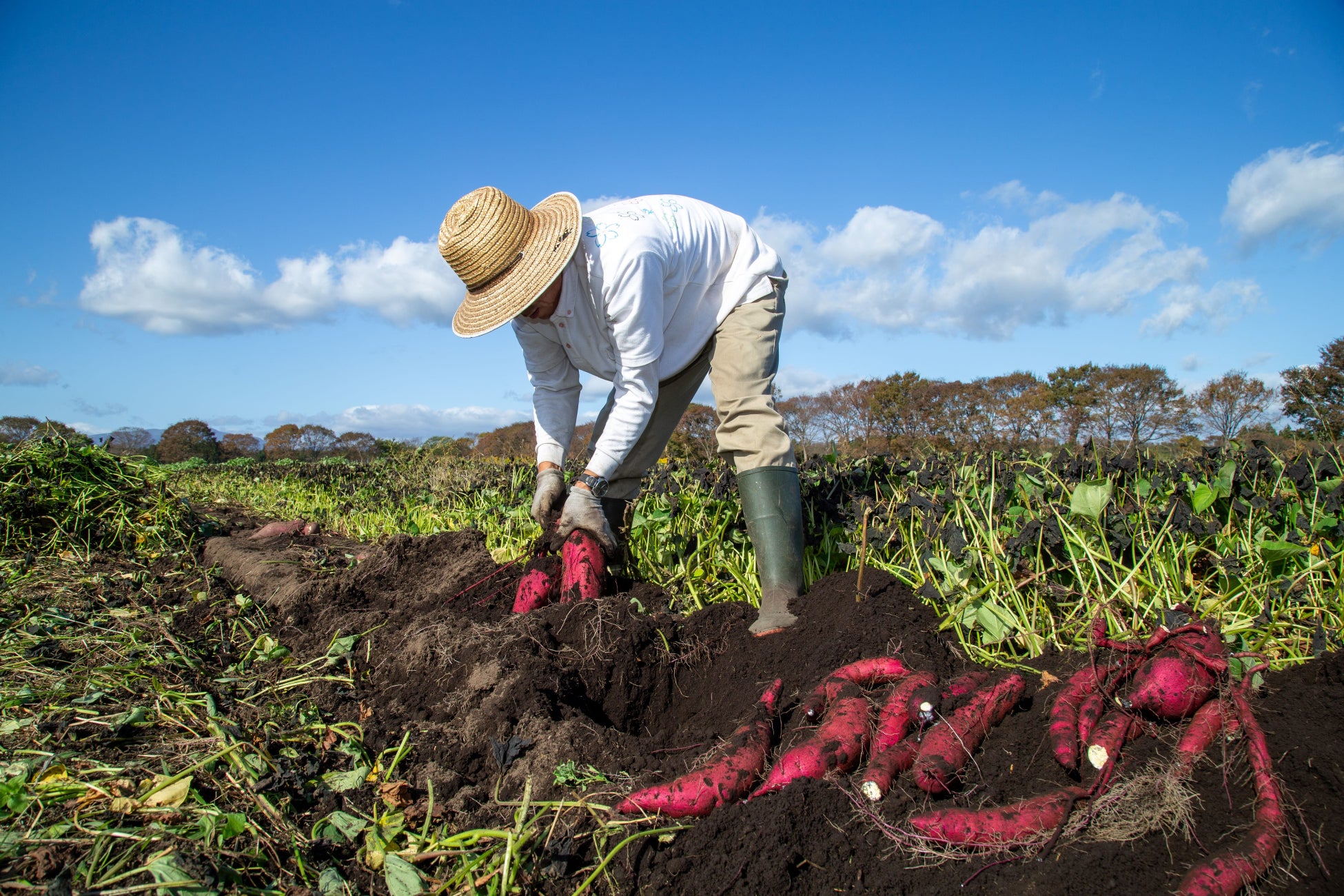 京都を舞台に、暮らす人と旅人が共に”まち”を再発見！ ローカリズム・アクティビティ「観に行こう、まちの光、暮らしの光」を12月14日開催