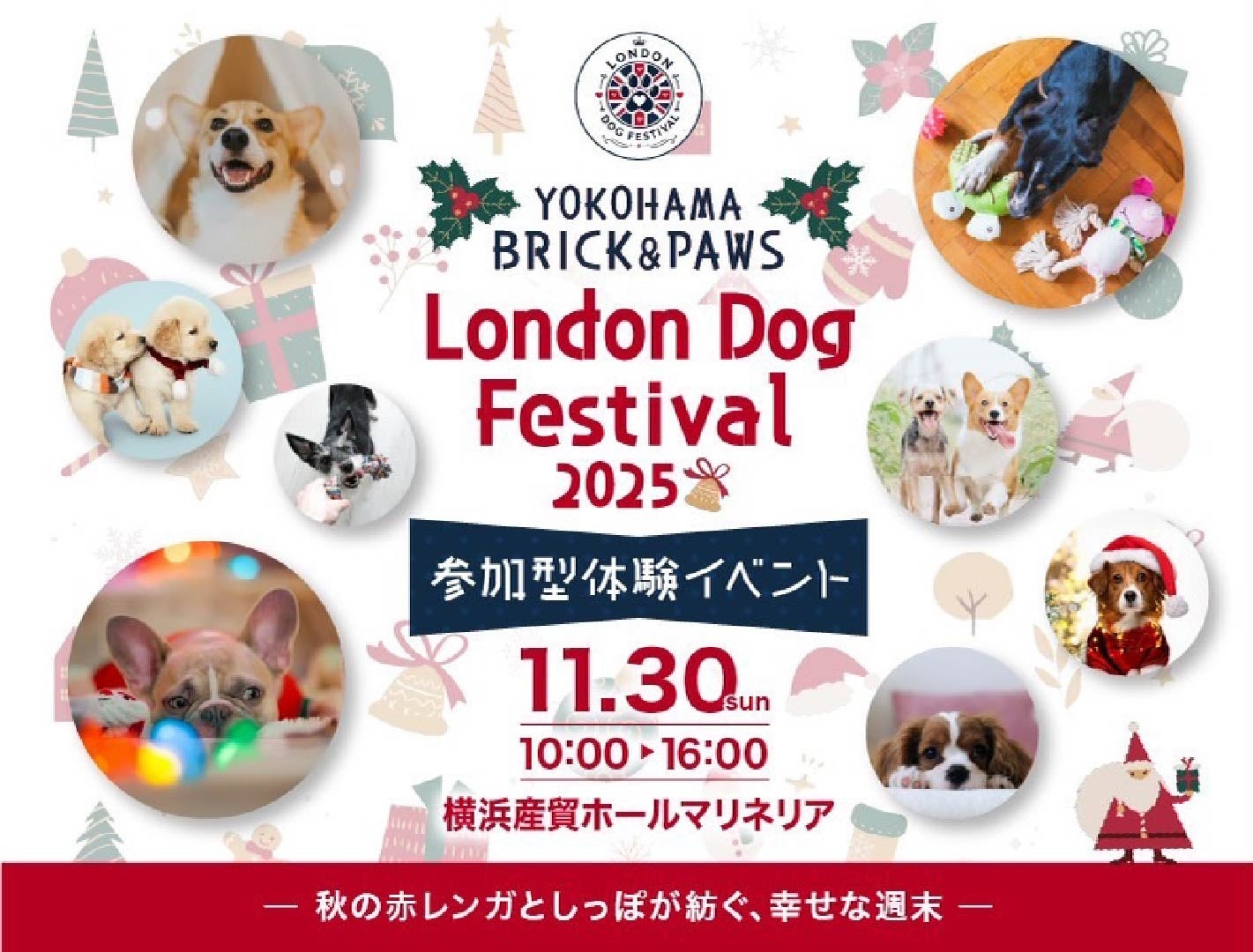 ”秋の赤レンガ”と”しっぽ”が紡ぐ、幸せな週末！『London Dog Festival YOKOHAMA BRICK & PAWS』11/30(日) 横浜産貿ホール マリネリア（屋内開催）
