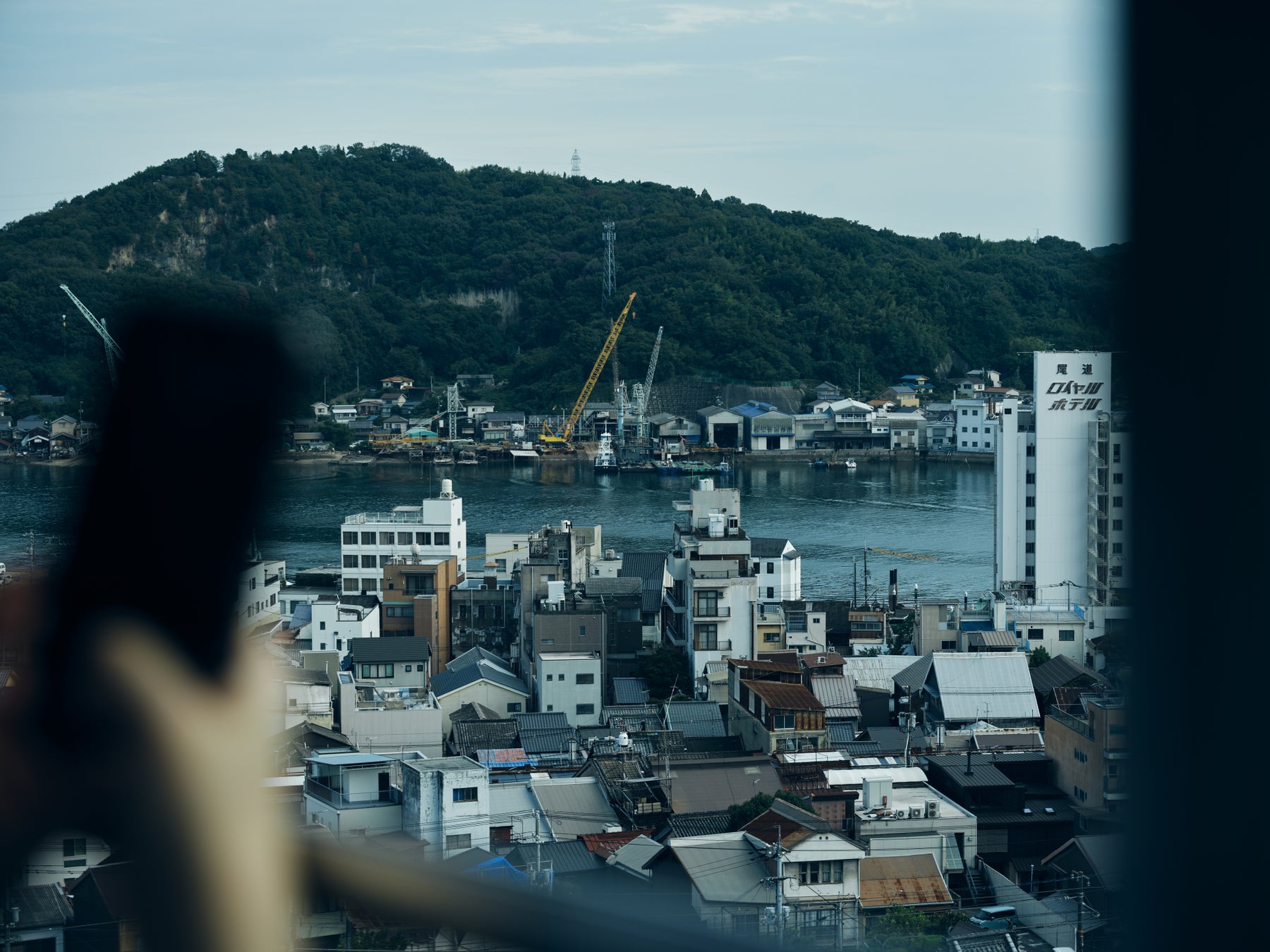 大阪・心斎橋エリアで熊肉が食べられる冬季限定「熊鍋コース」が山小屋居酒屋SUMIKAより11月26日に新登場