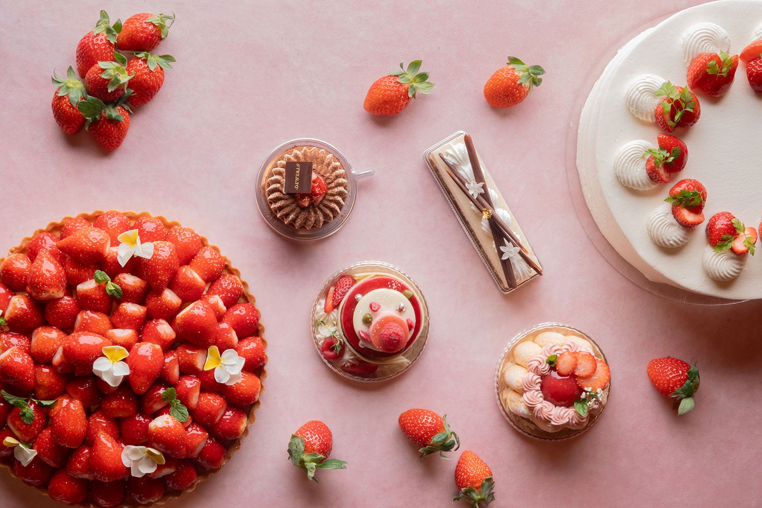 「海・花ちびっこサッカー大会U-9」を開催します。（国営ひたち海浜公園）