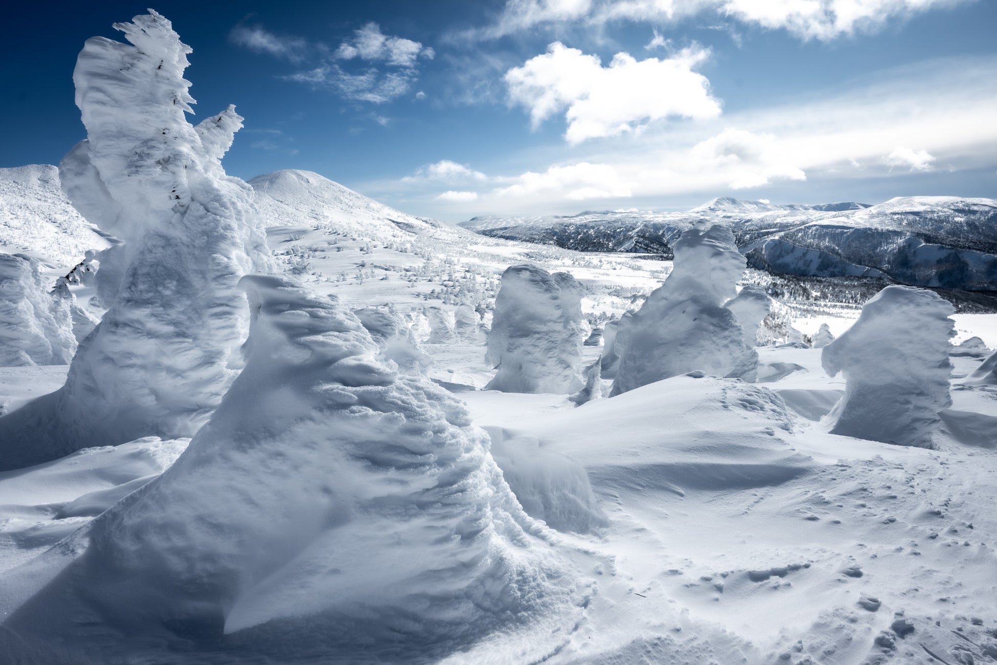締め切り間近！あなたの動画で韮崎を“バズ”らせろ