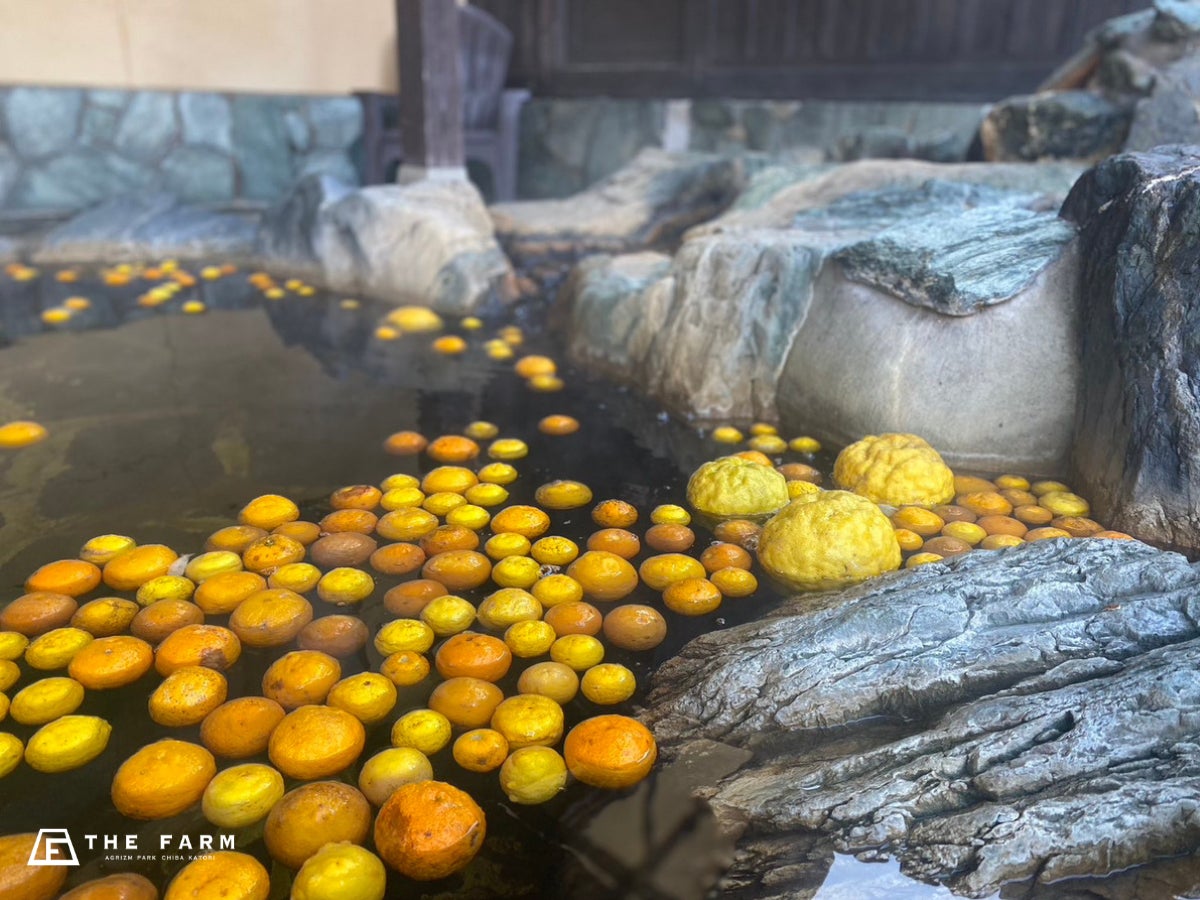 プロに学ぶ空撮の極意ウェビナー アーカイブ配信開始！