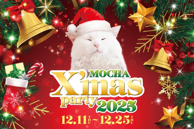 今年もMOCHAのにゃんずと過ごす、心ときめくクリスマスを！「MOCHA Christmas Party 2025」開催Instagram投稿でおやつGET！限定ポストカードのプレゼントも