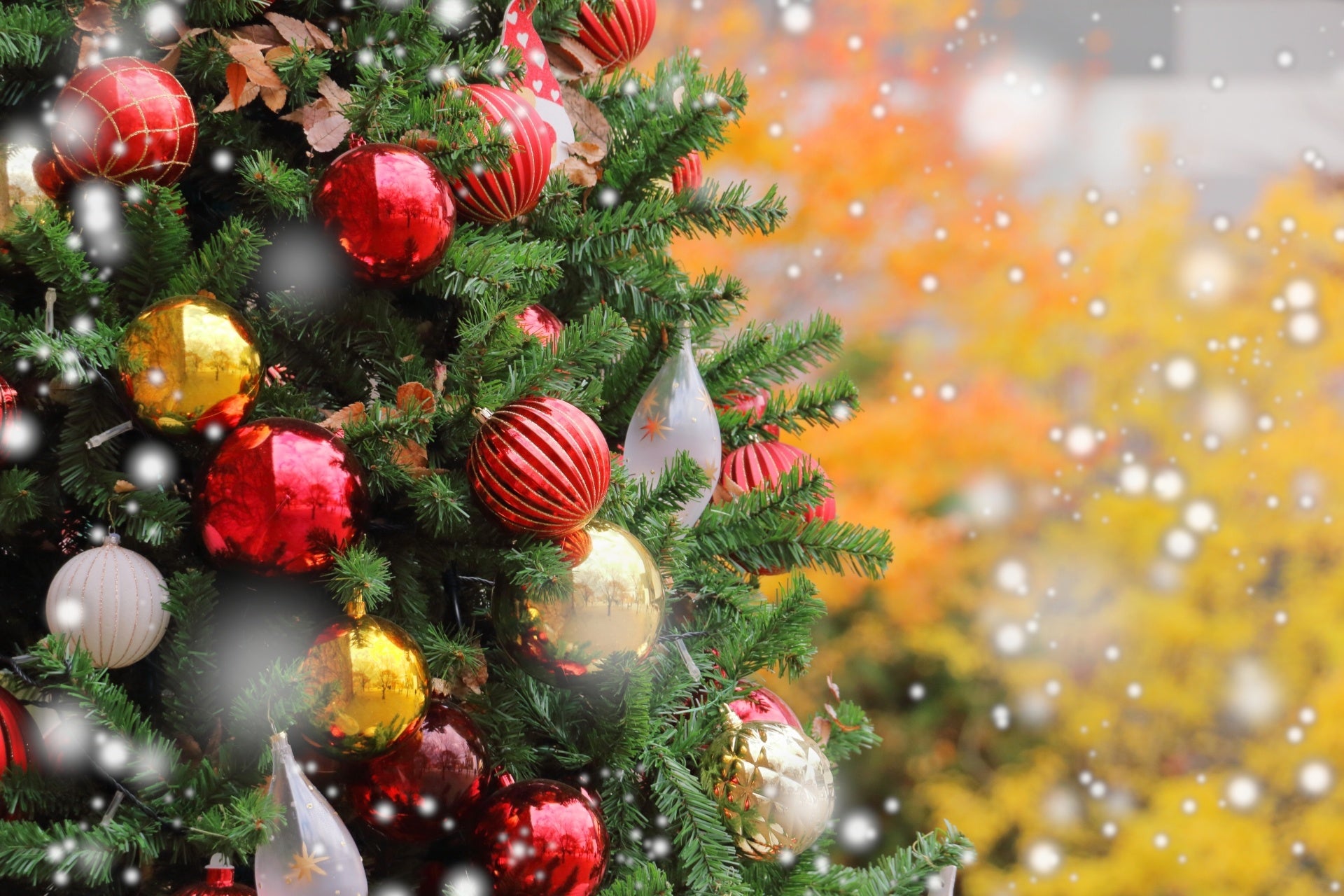 まだ間に合う！「クリスマス旅におすすめの宿」特集公開　舞浜から人気温泉地まで多彩な宿の限定プランを紹介｜リロホテルズ＆リゾーツ