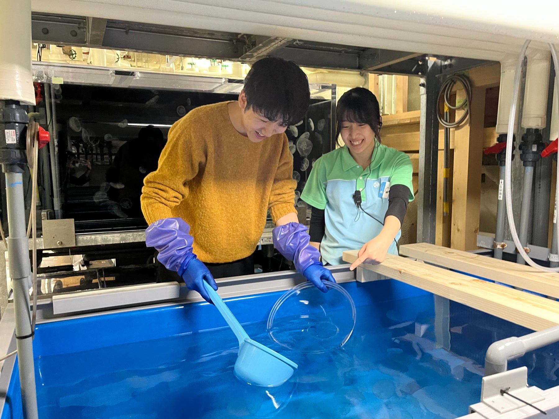 ベルスター東京 45階｜新宿の絶景とともに愉しむ冬限定アフタヌーンティー