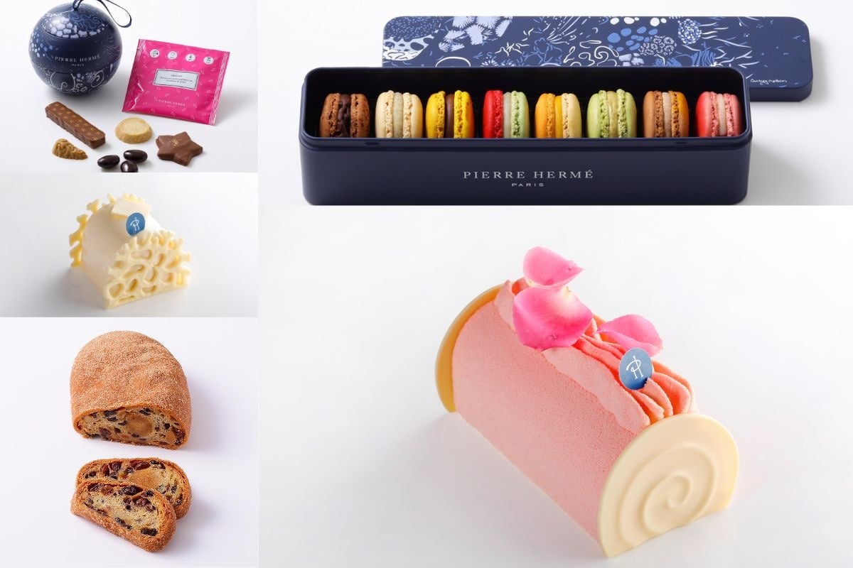 旅をしながらコーヒーの森を育む新しい宿泊プランが実現！BIKAS COFFEE、ホテル＆サービスレジデンスブランド「シタディーン」と協業開始！