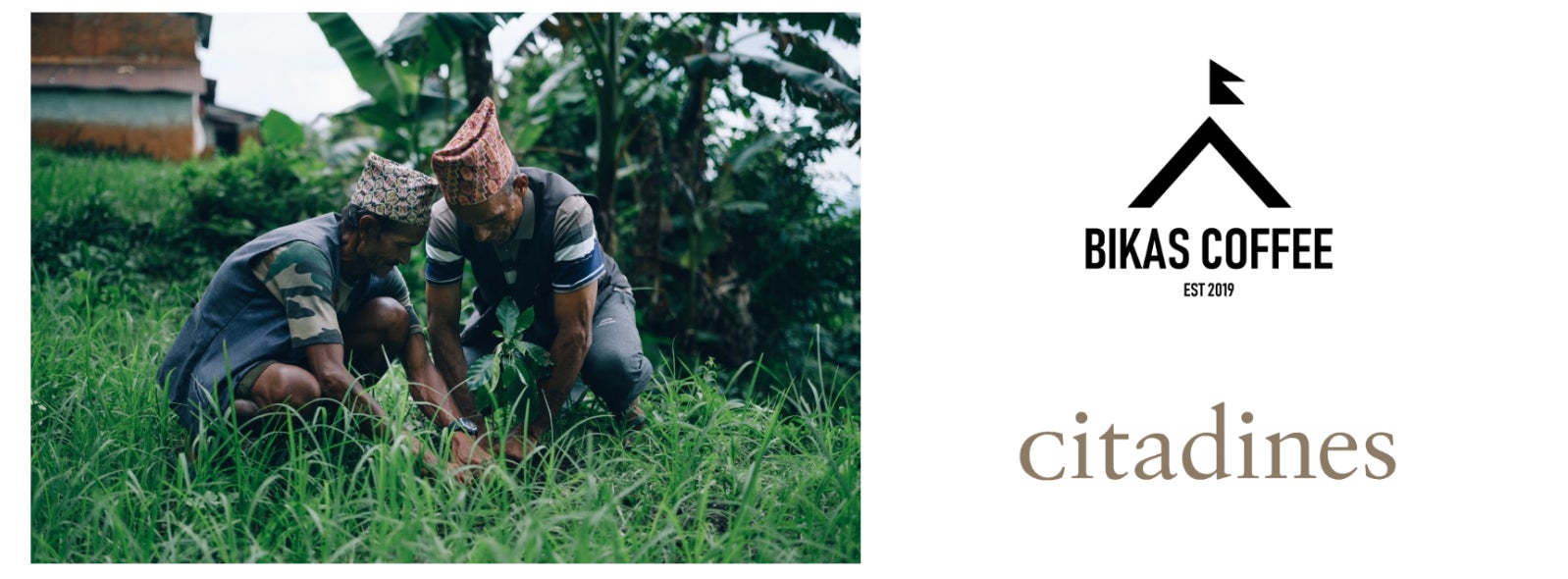 アイウェルネス伊豆高原、12月1日より「冬のメニュー」を開始