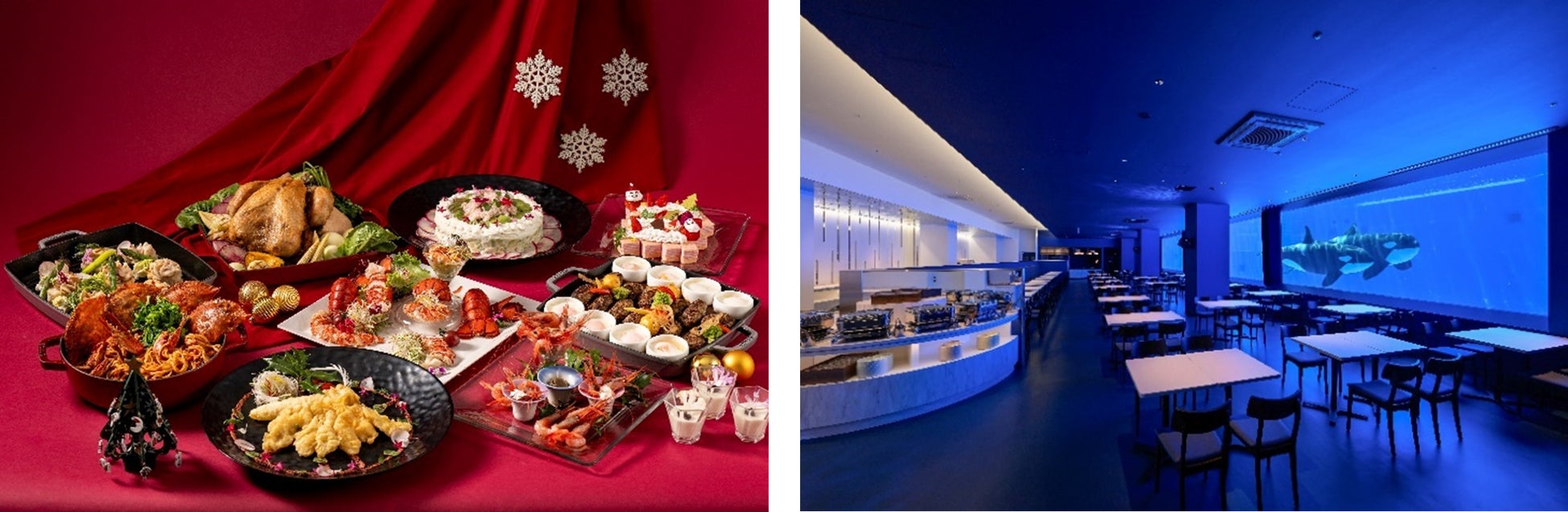 「片道・船旅お試しプラン」　冬のお得なキャンペーンのお知らせ