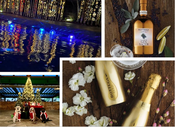 神の島・宮島で製塩開始 ― 「みやじまの塩」誕生