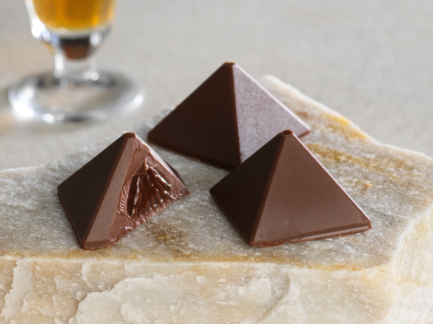 【上越市立水族博物館 うみがたり】『うみがたりのクリスマス２０２５』【２０２５年１２月１日（月）～１２月２５日（木）】