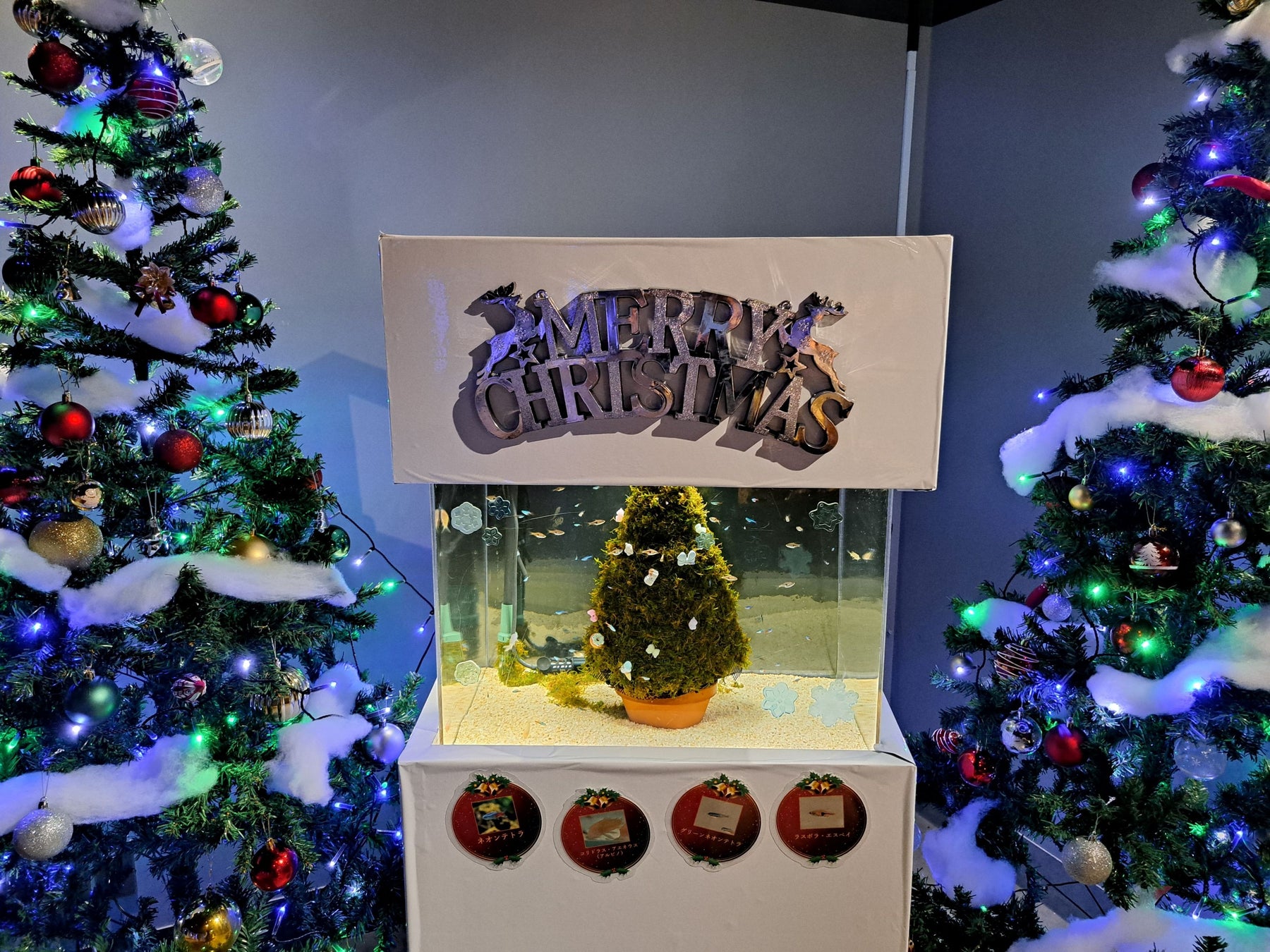 THE HOUSE 冬のキャンペーン“NON_PERFECT BEAUTY リトリート“– 不完全な美しさのススメ”を実施。