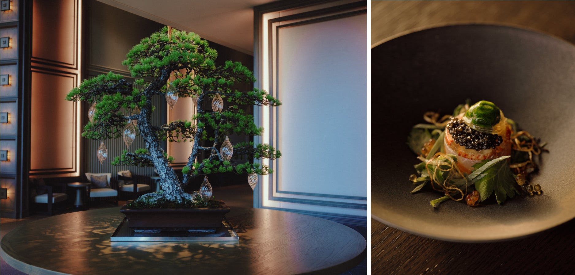 【ジャヌ東京】「TRADMAN’S BONSAI」の盆栽に染まるフェスティブシーズン – 史上初のクリスマスツリーの盆栽ほか、盆栽からインスパイアされた限定ディナーやカクテル登場