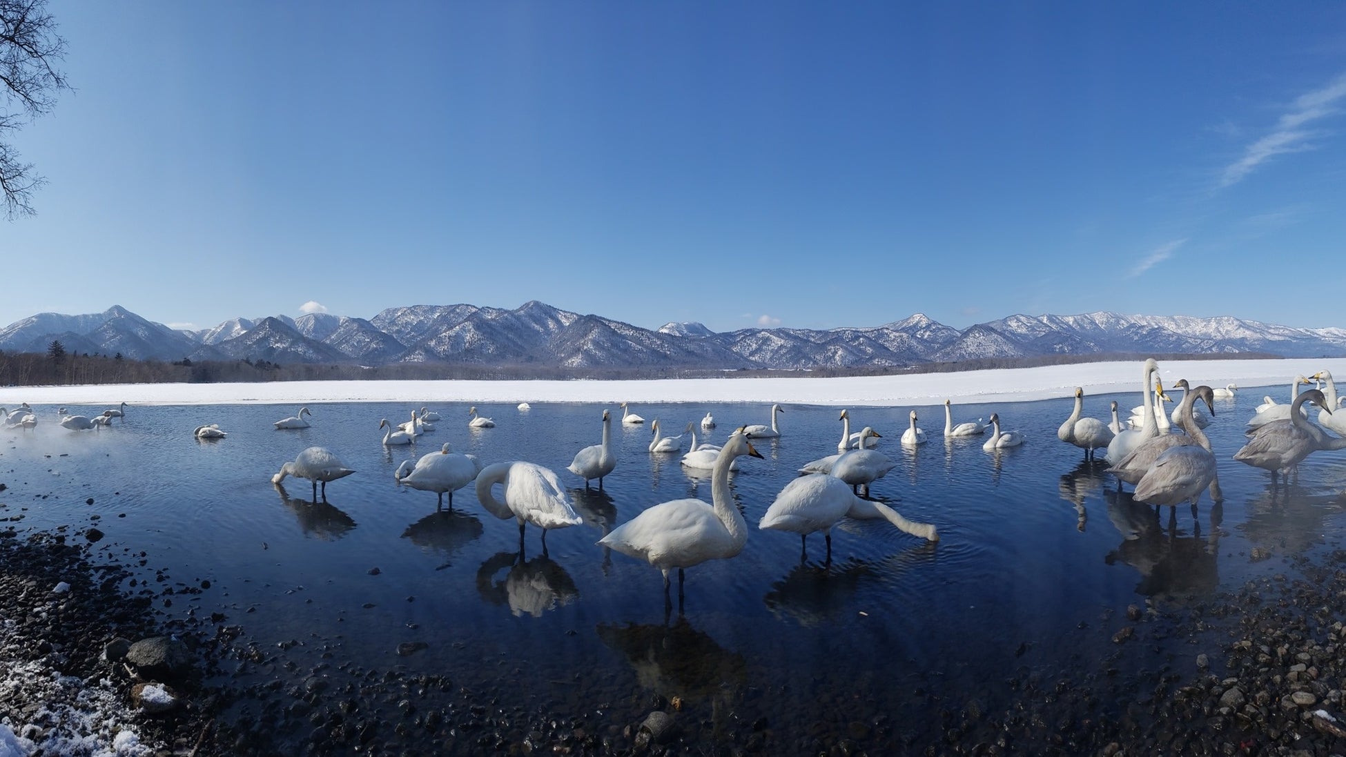 【中部電力 MIRAI TOWER】冬のプロジェクションマッピングイベント『NAKED 天空のSTAR ILLUMINATION』が始まります。12月23日～25日はクリスマス特別ライトアップも開催！